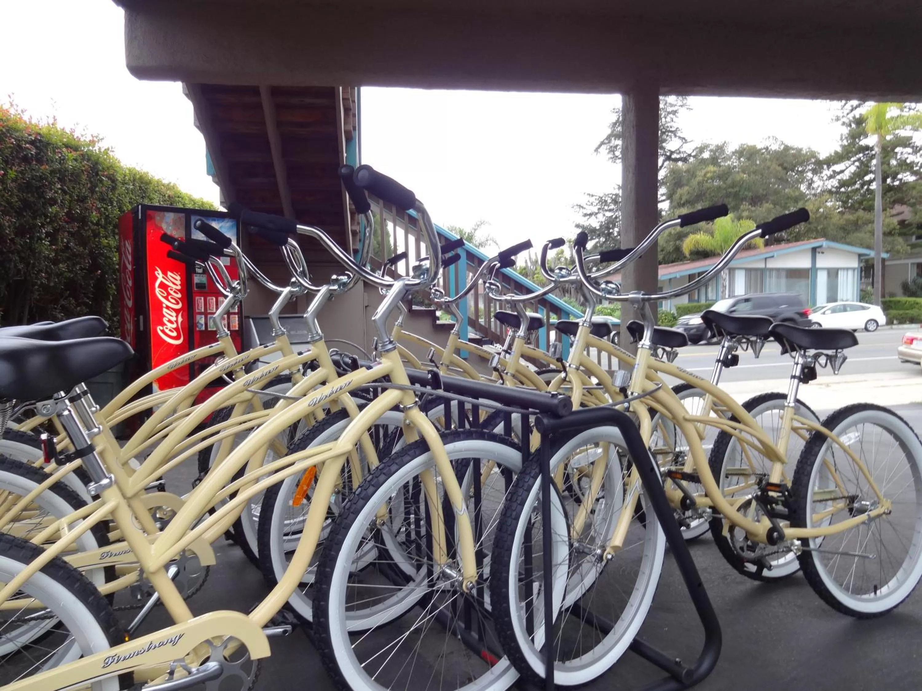 Decorative detail in The Presidio