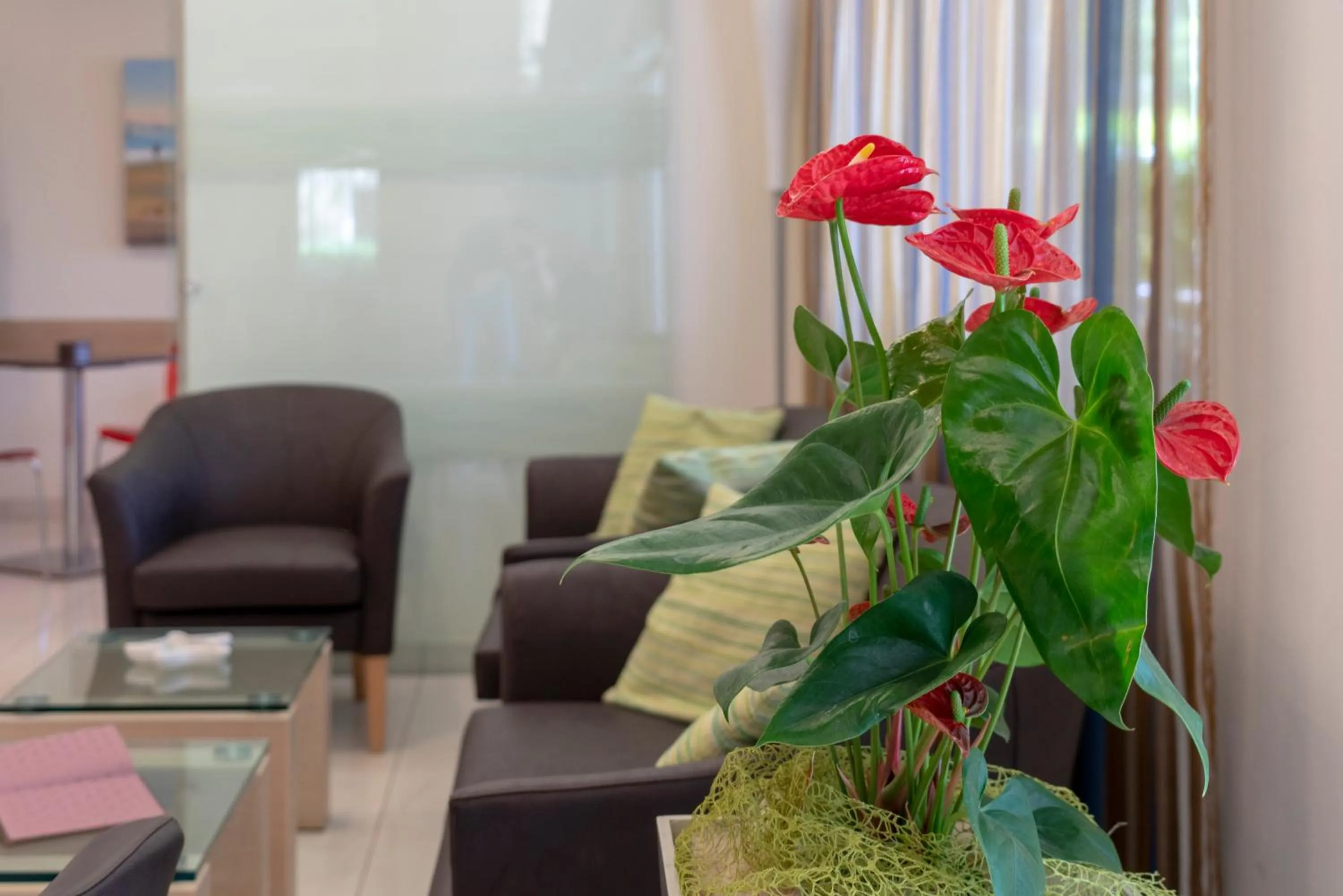 Living room in Hotel Adigrat