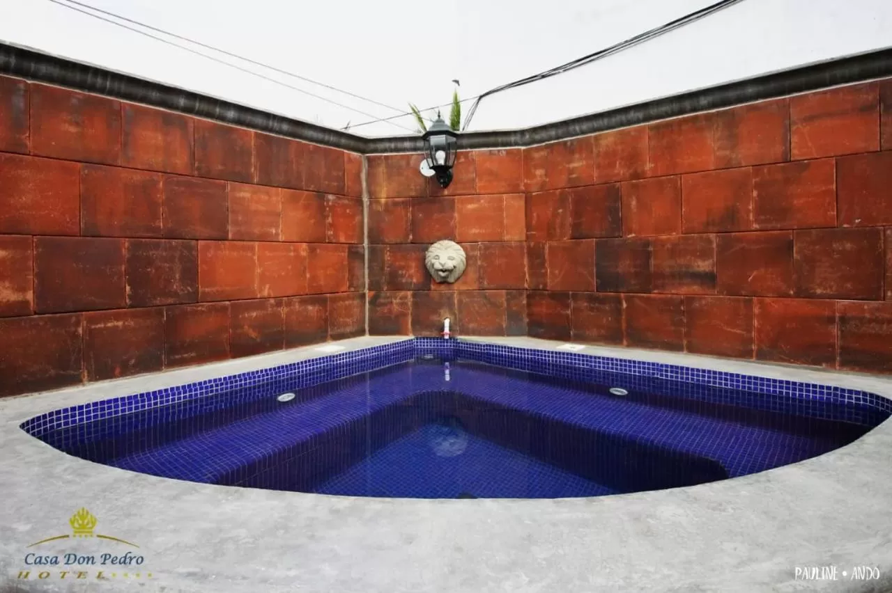 Swimming Pool in Hotel Casa don Pedro