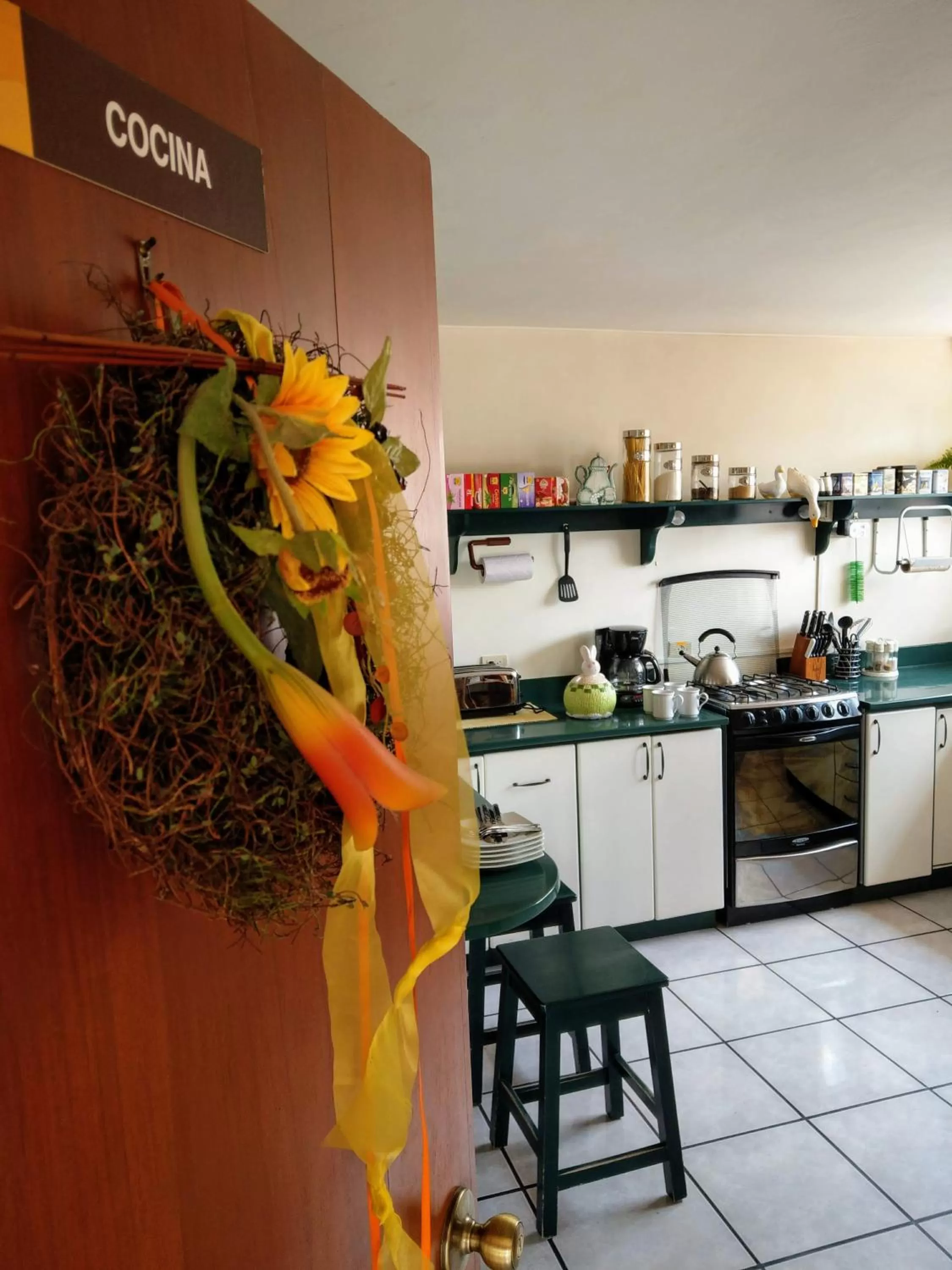 Communal kitchen, Kitchen/Kitchenette in Hotel Rincon Aleman