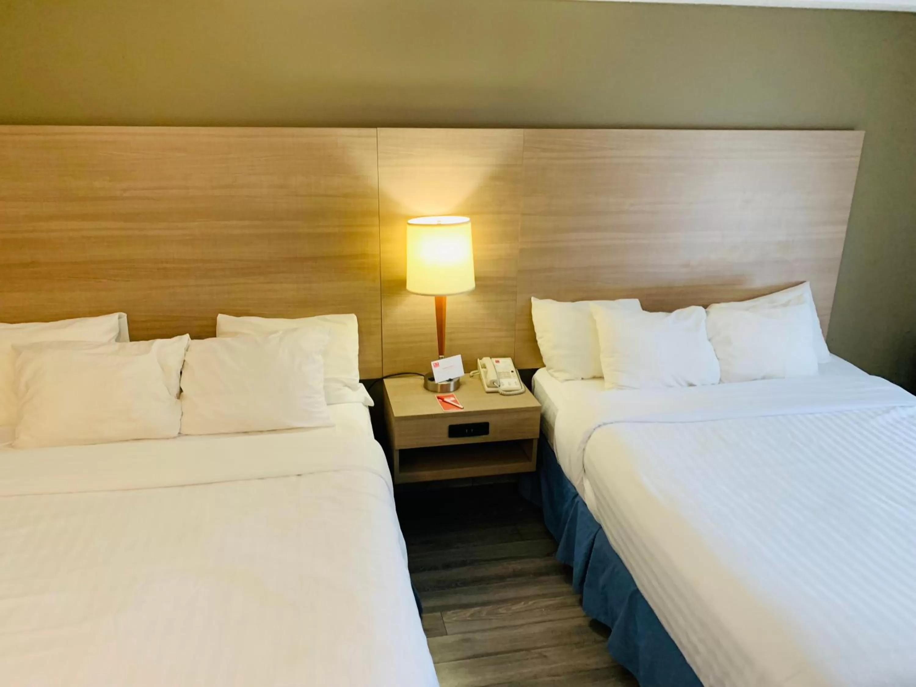 Bed in Econo Lodge Airport Quebec