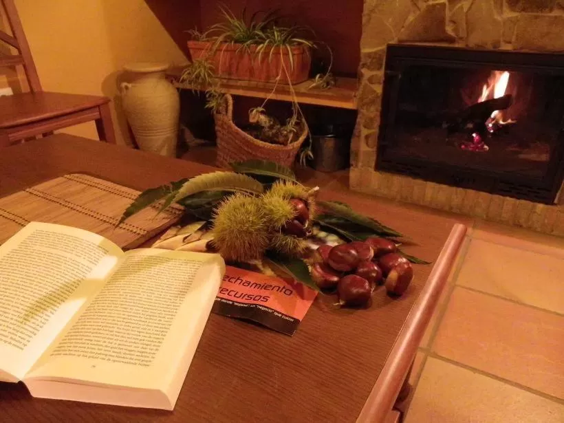 Other in Hotel Apartamento Rural Finca La Media Legua