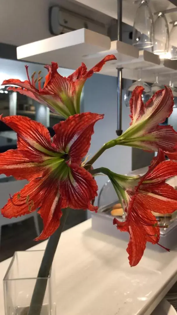 Double Room in Colors Double Room in Colors