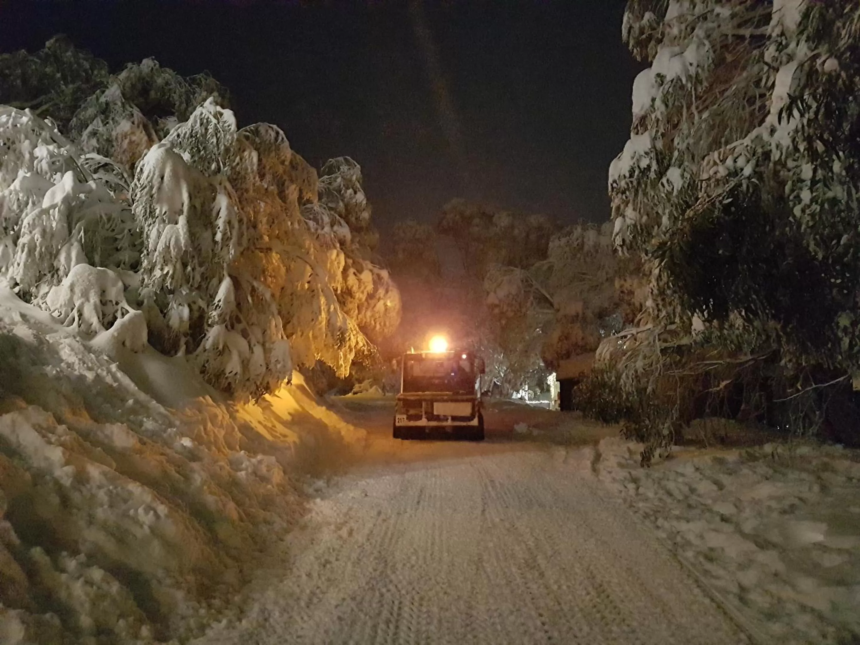 Natural landscape in Cedarwood Apartments