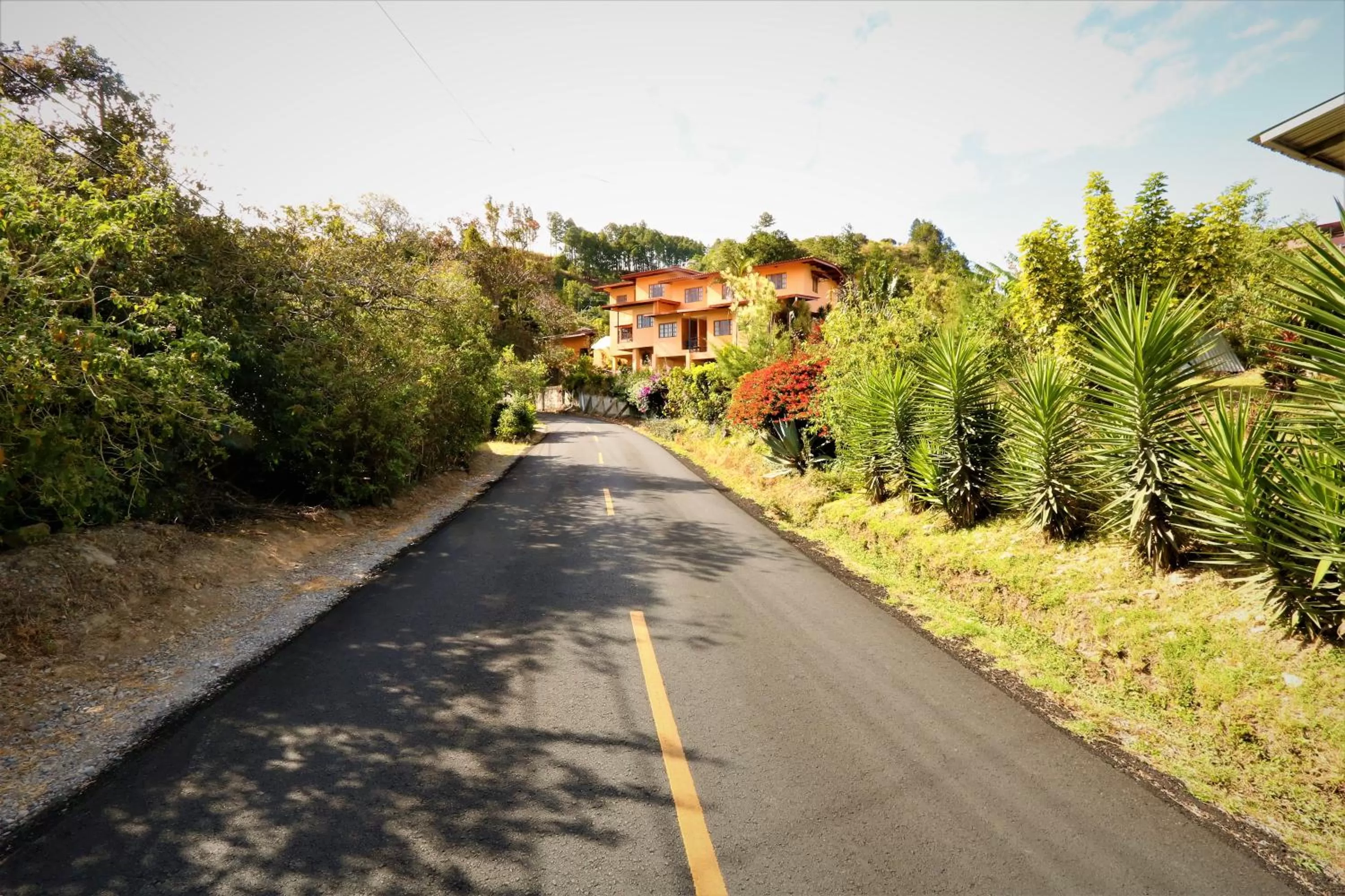 Street view in Aparthotel Los Pinos