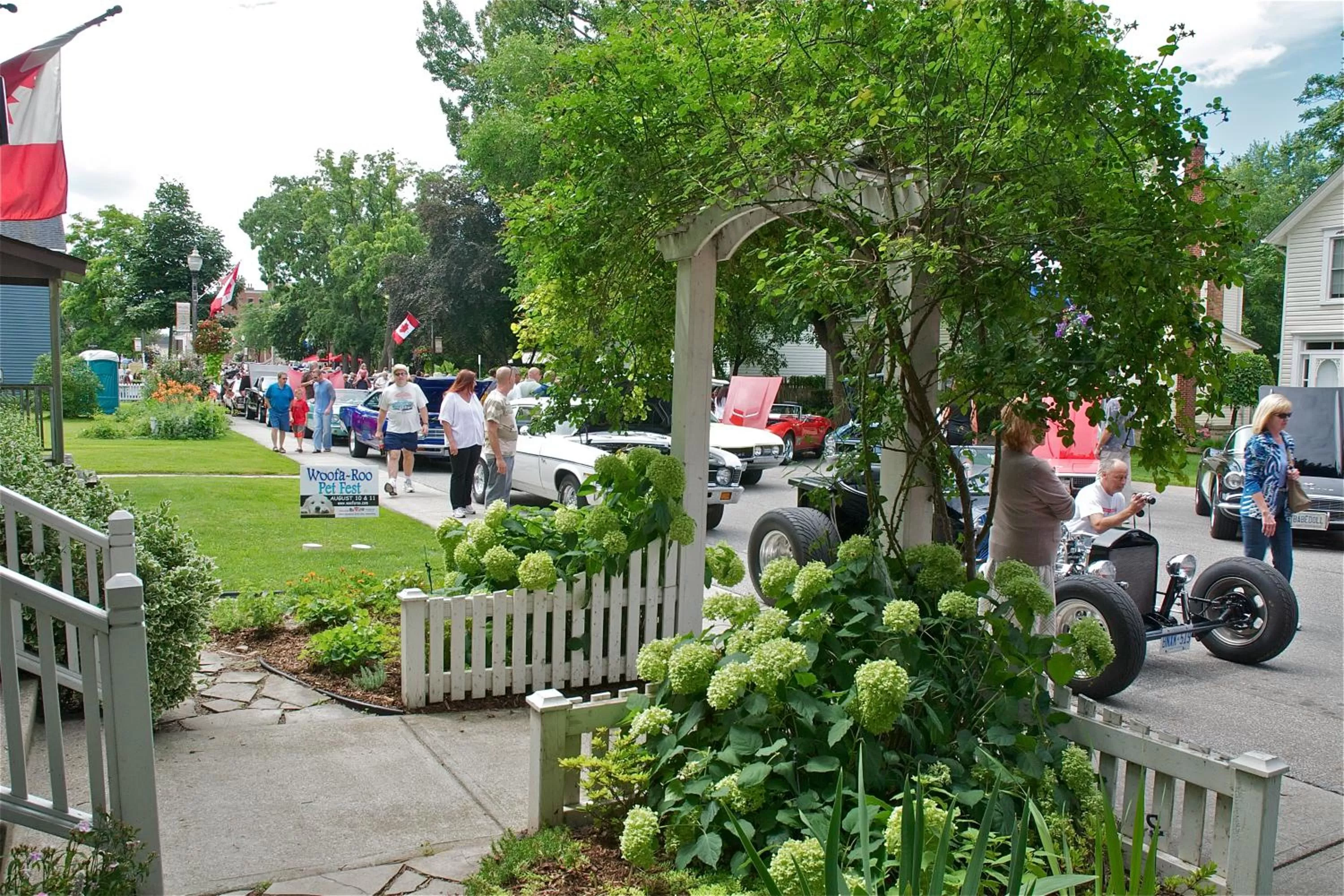 Activities in Bondy House Bed & Breakfast