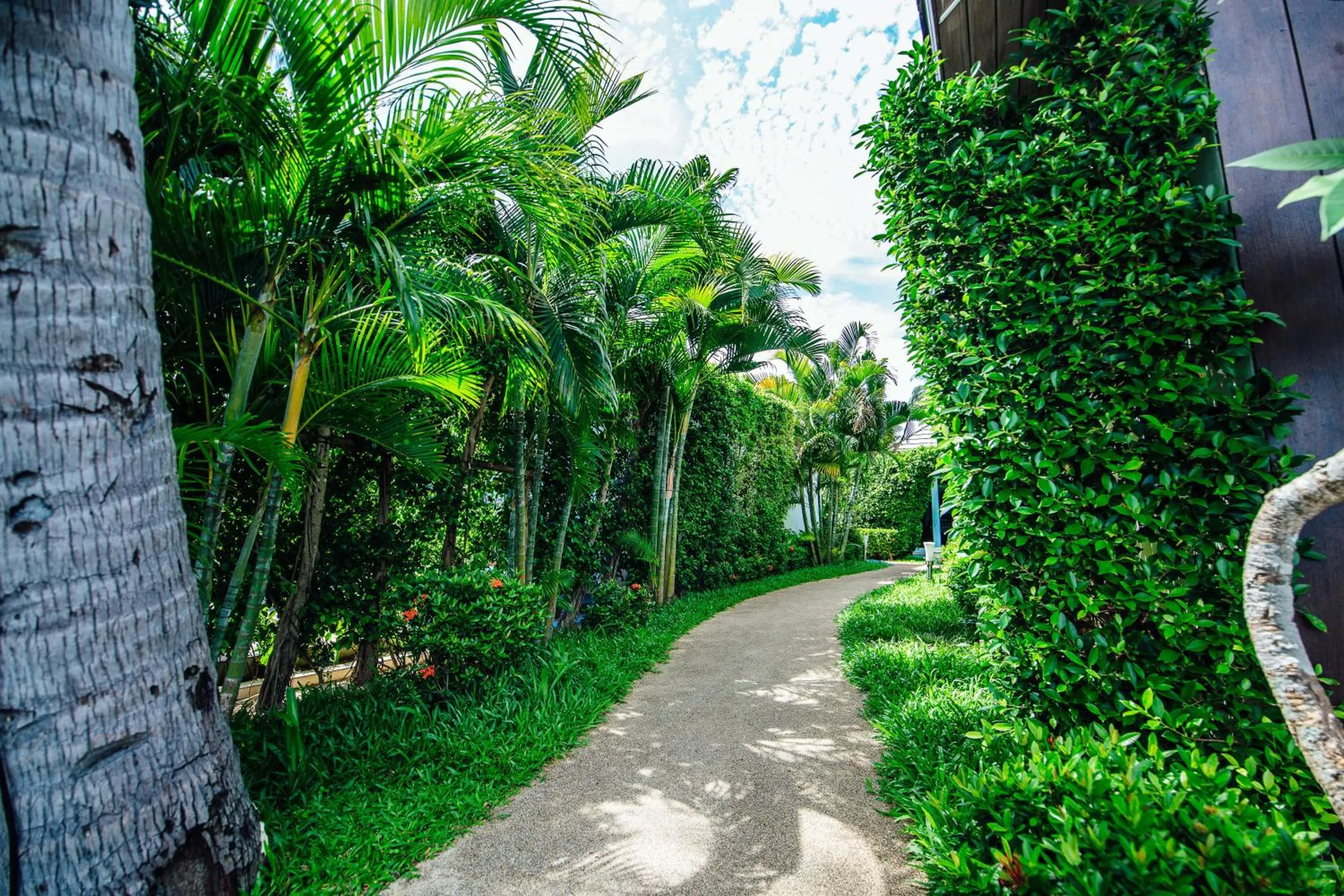 Garden in Sea Valley Resort