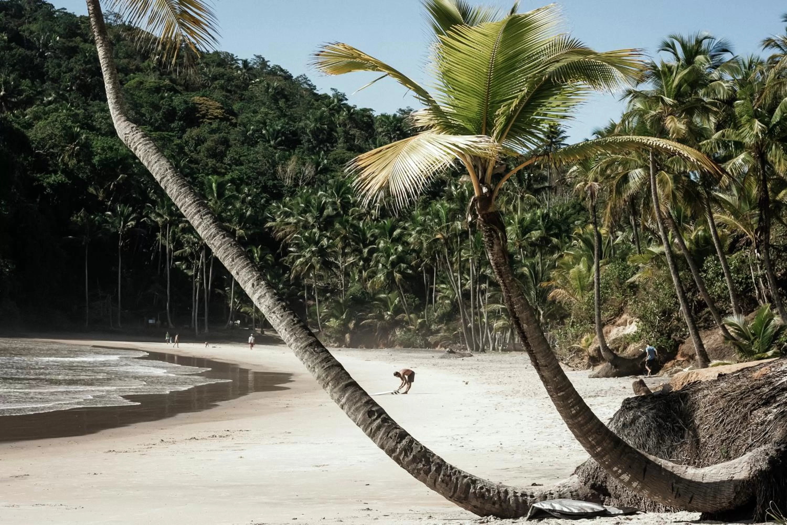 Beach in Barracuda Hotel & Villas