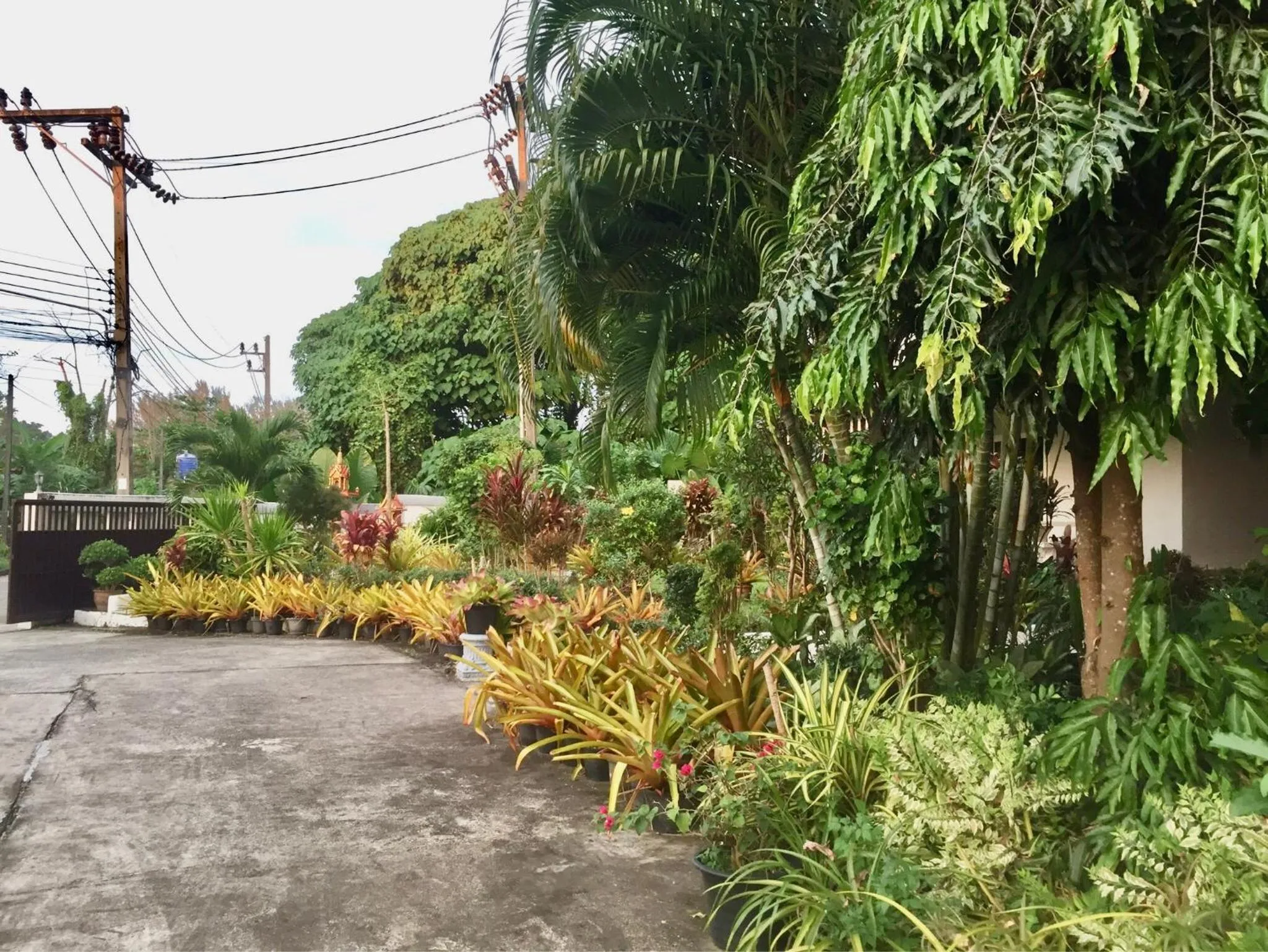 Garden in Siray House