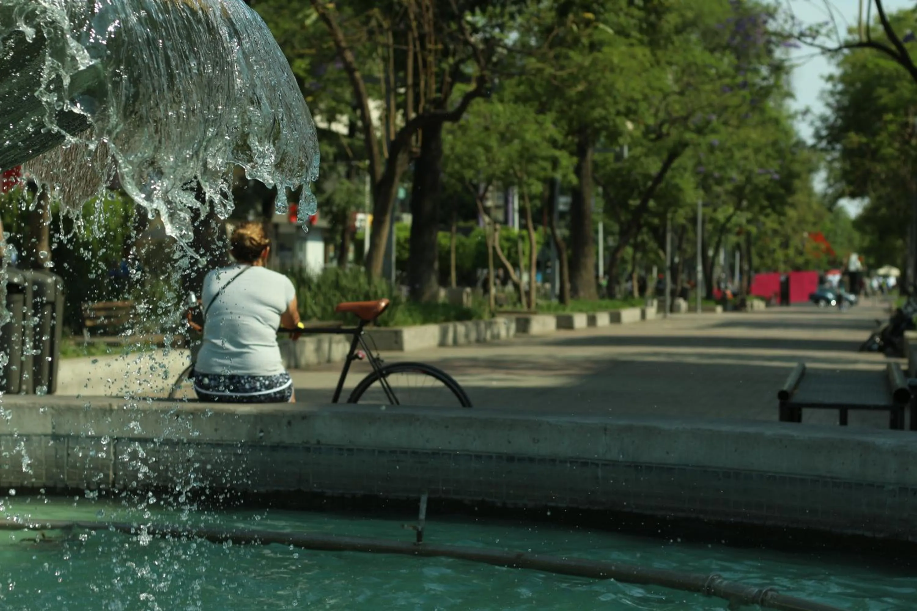 Area and facilities in Hostel Hospedarte Chapultepec