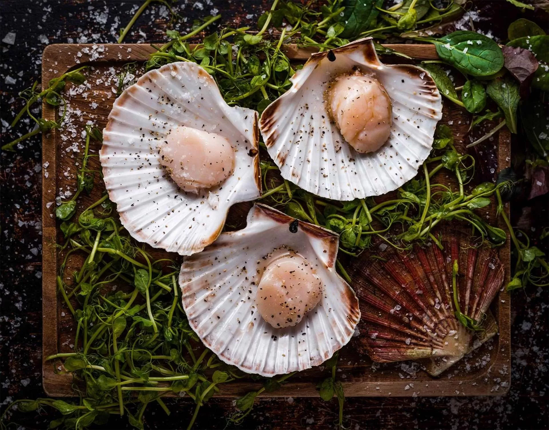 Food in The White Lion Hotel
