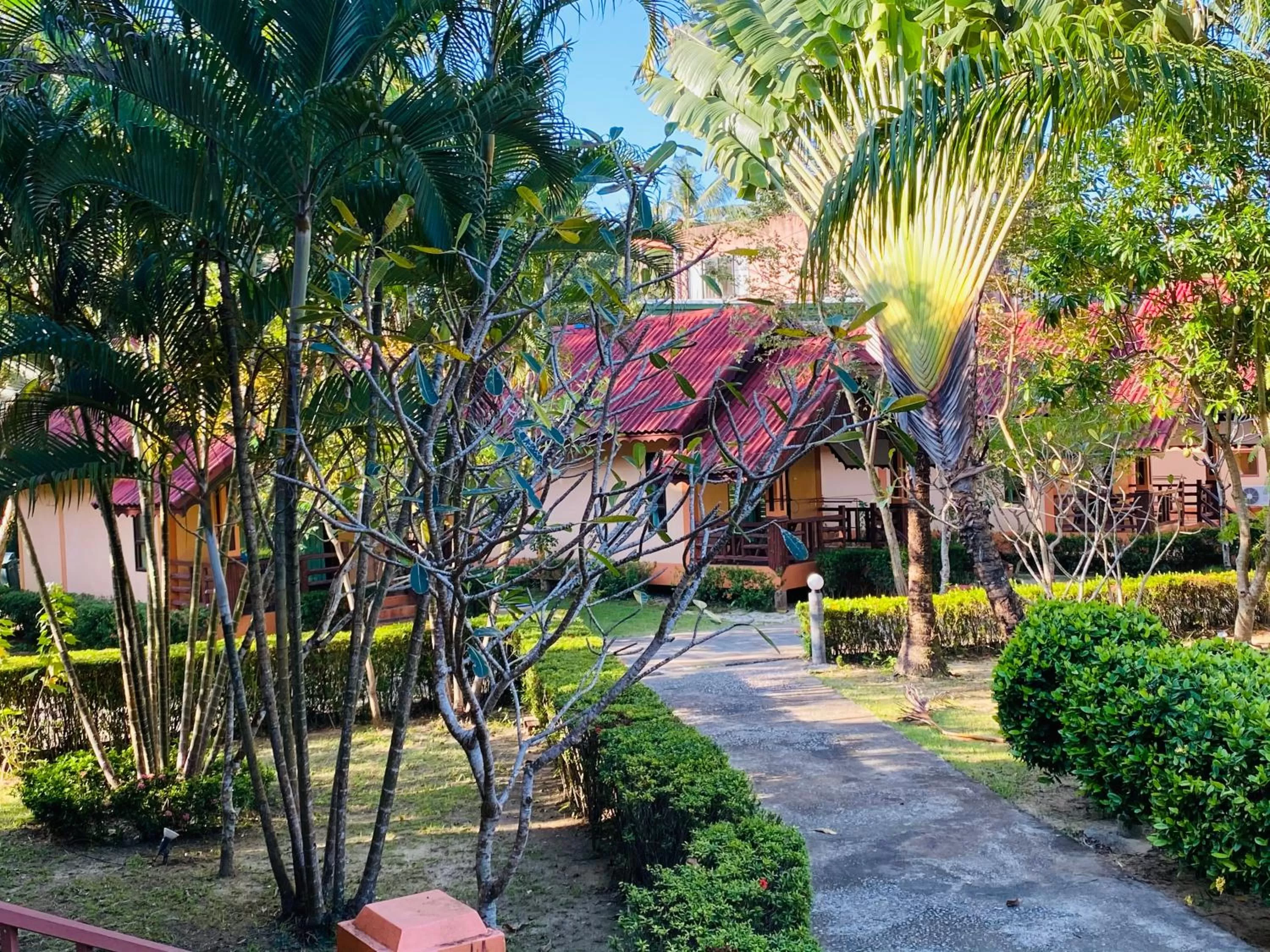 Garden in Kaibae Hut Resort