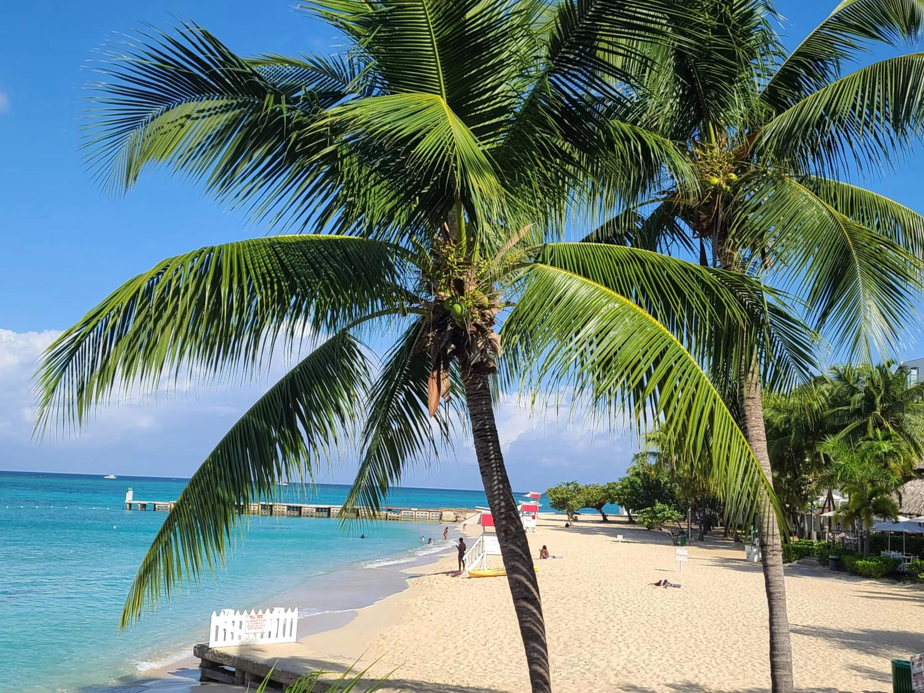 Nearby landmark in Caribic House