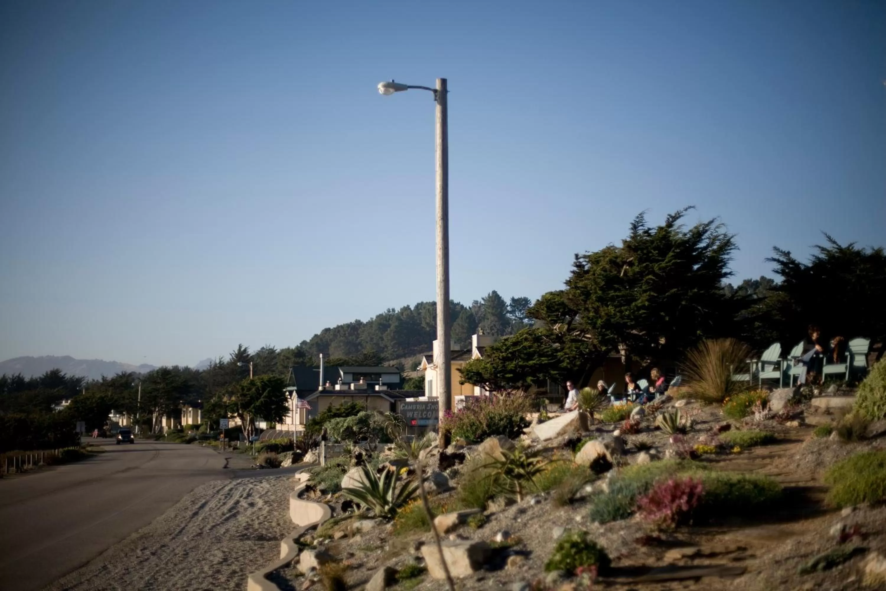 Garden view in Cambria Shores Inn