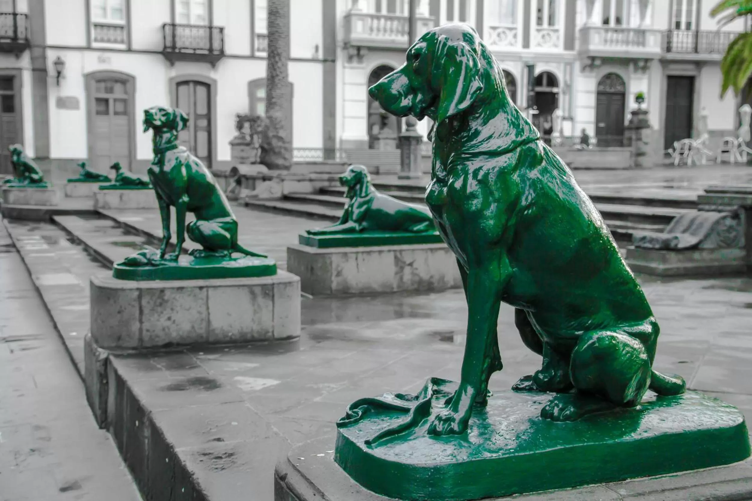 View (from property/room) in Aminta Home