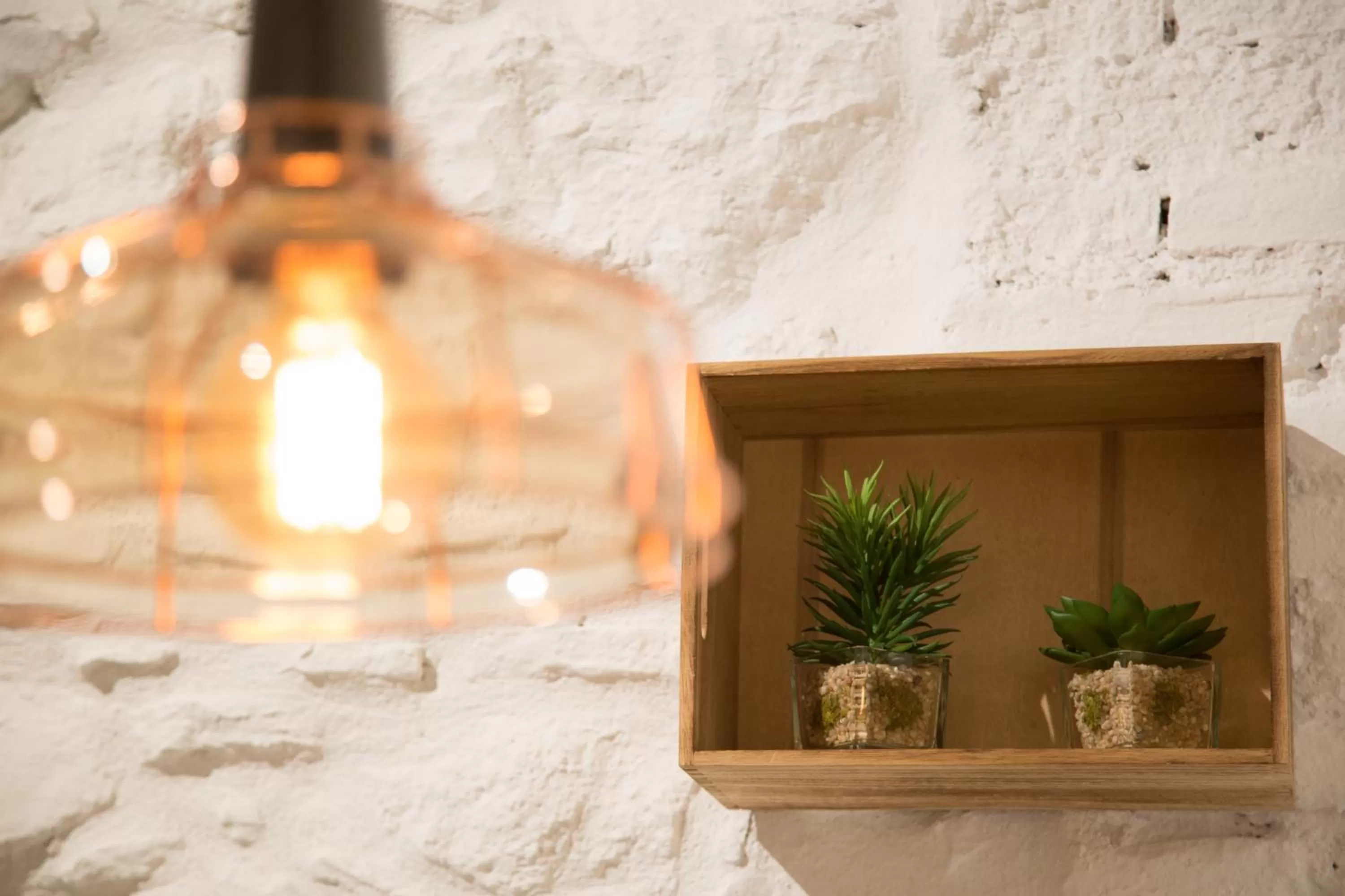 Other in Petit Palace Plaza del Carmen