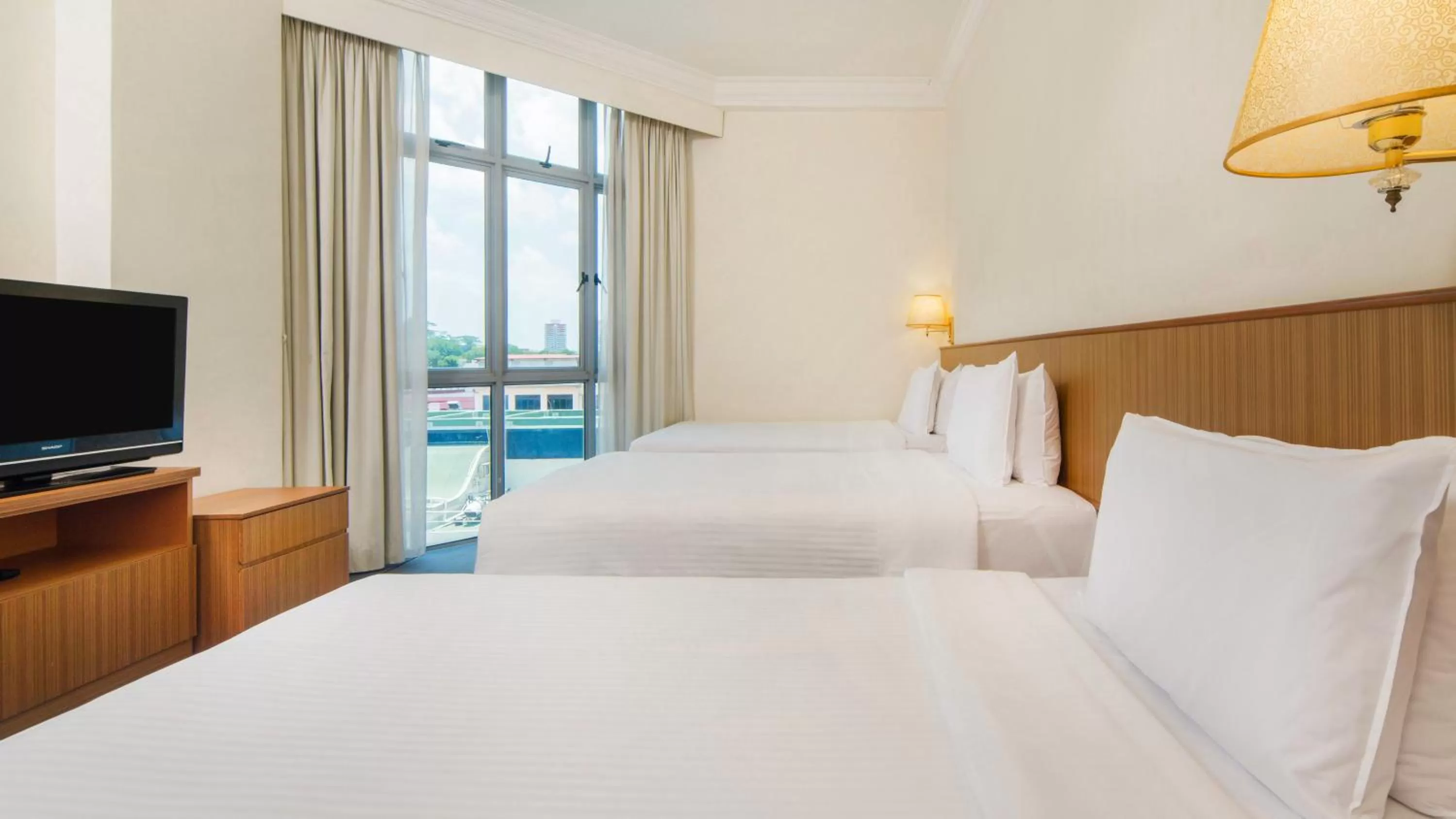 Communal lounge/ TV room, Bed in New Cape Inn