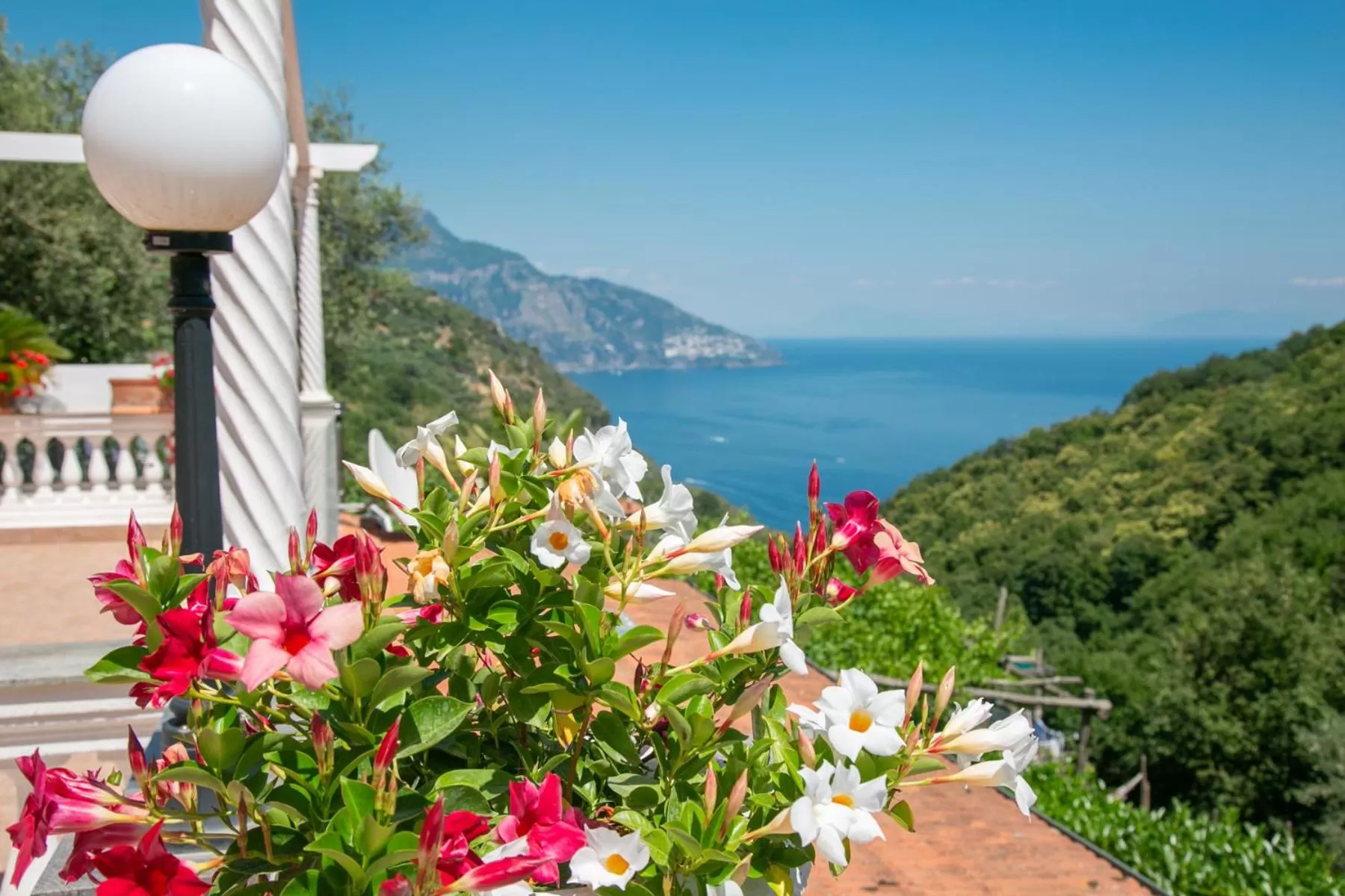 Natural landscape in Villa Costanza sorrento B&b