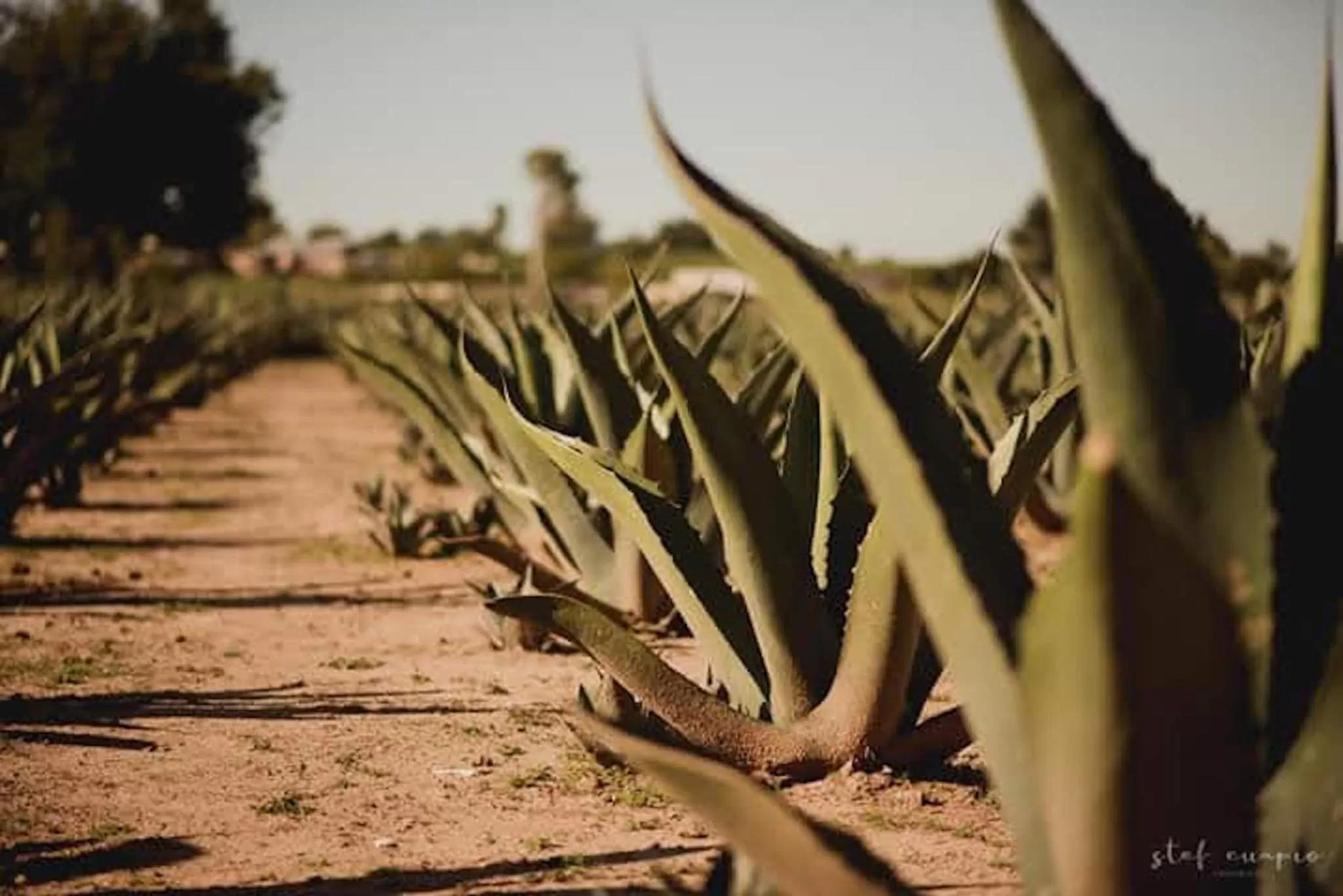 Nearby landmark in La Aurora Hotel Like Home