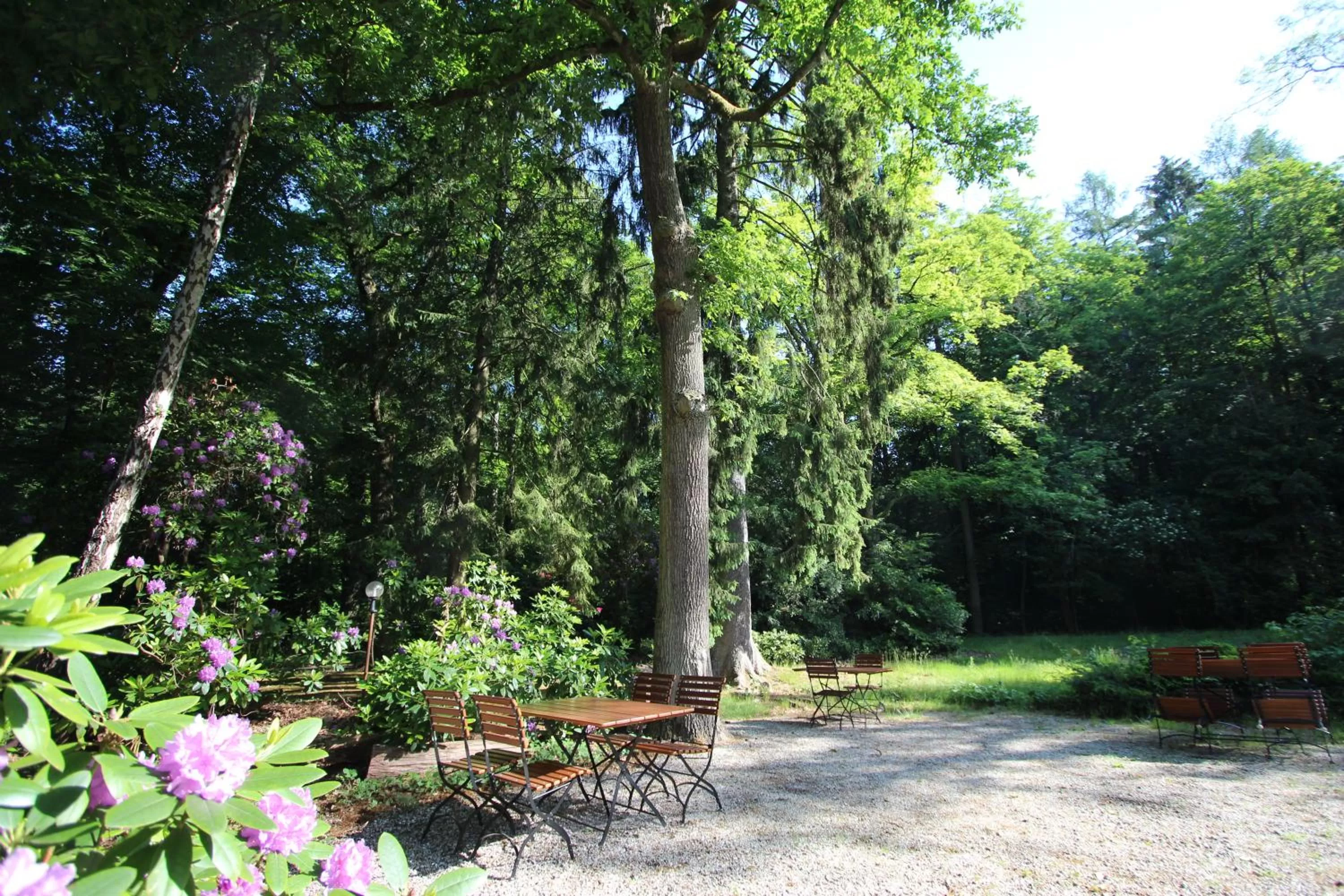 Garden in Hardtwald Hotel