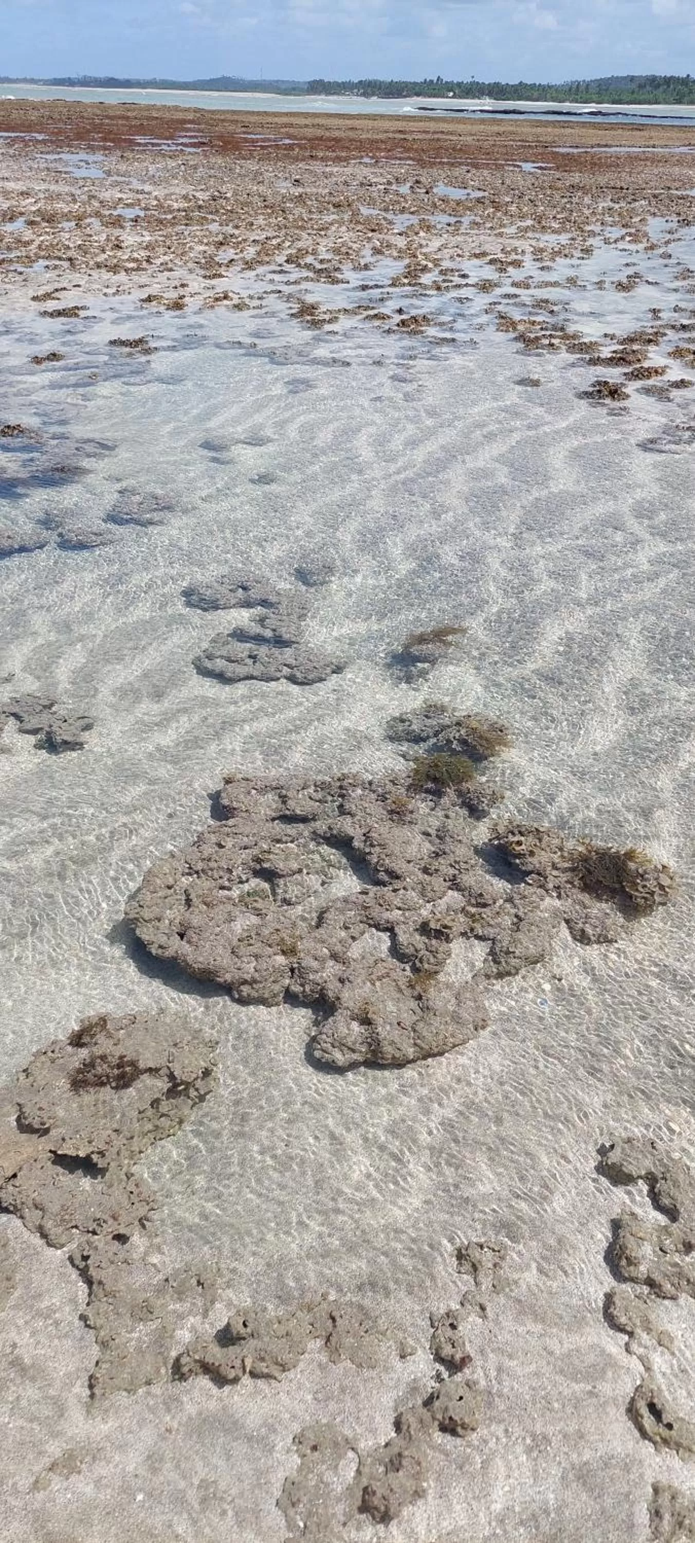 Natural landscape in Arataba Hotel Boutique e Bistrô - 150 mts do mar