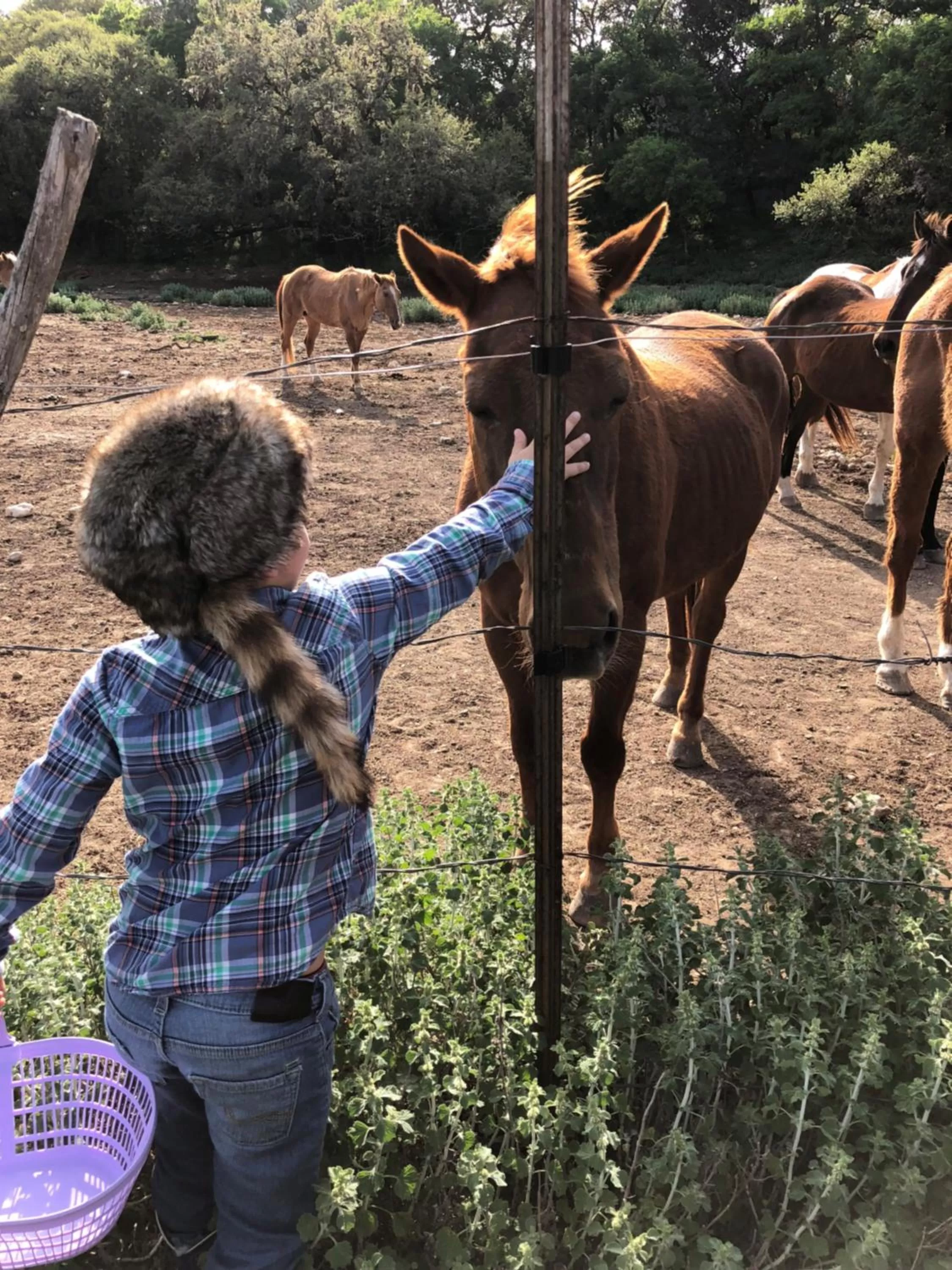 Flying L Ranch Resort & Golf Course