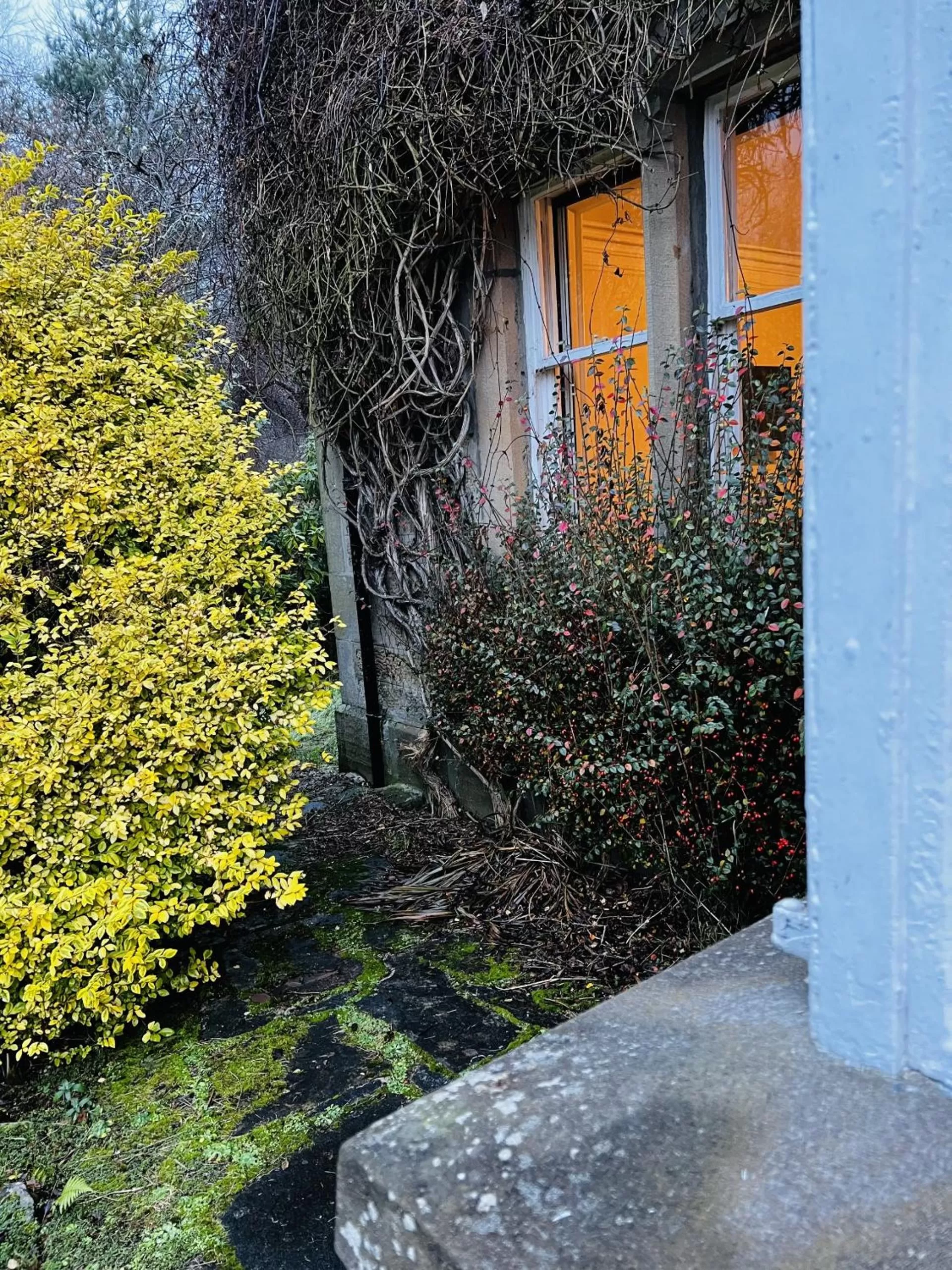 Garden in St Duthus Villa Guesthouse