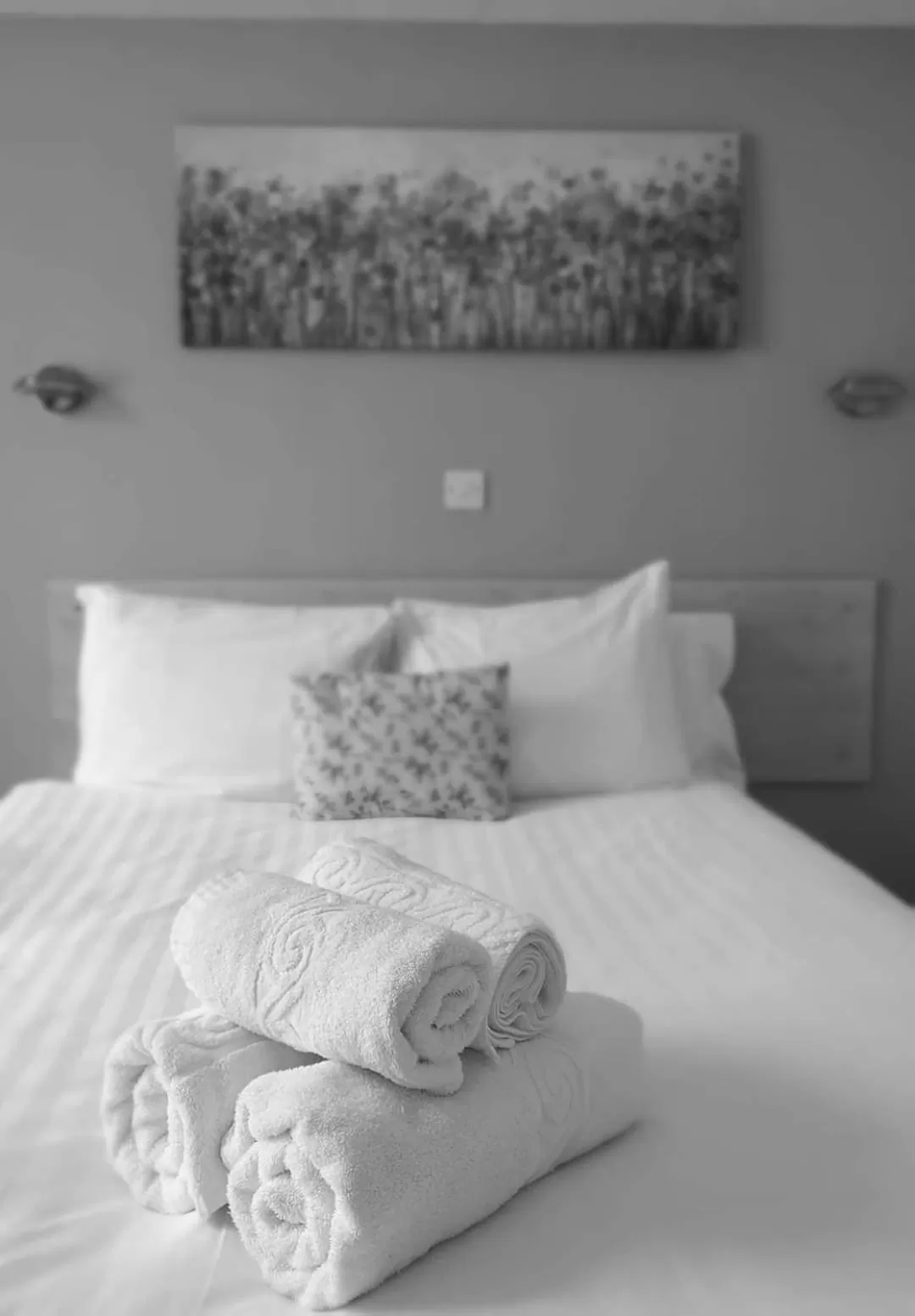 Decorative detail in The Kynance House on Plymouth Hoe ,26 Ensuite Rooms