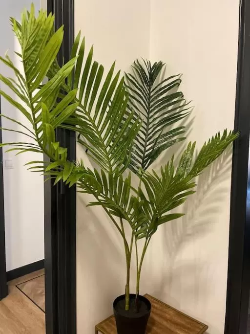 Apart hotel Central -Self service-