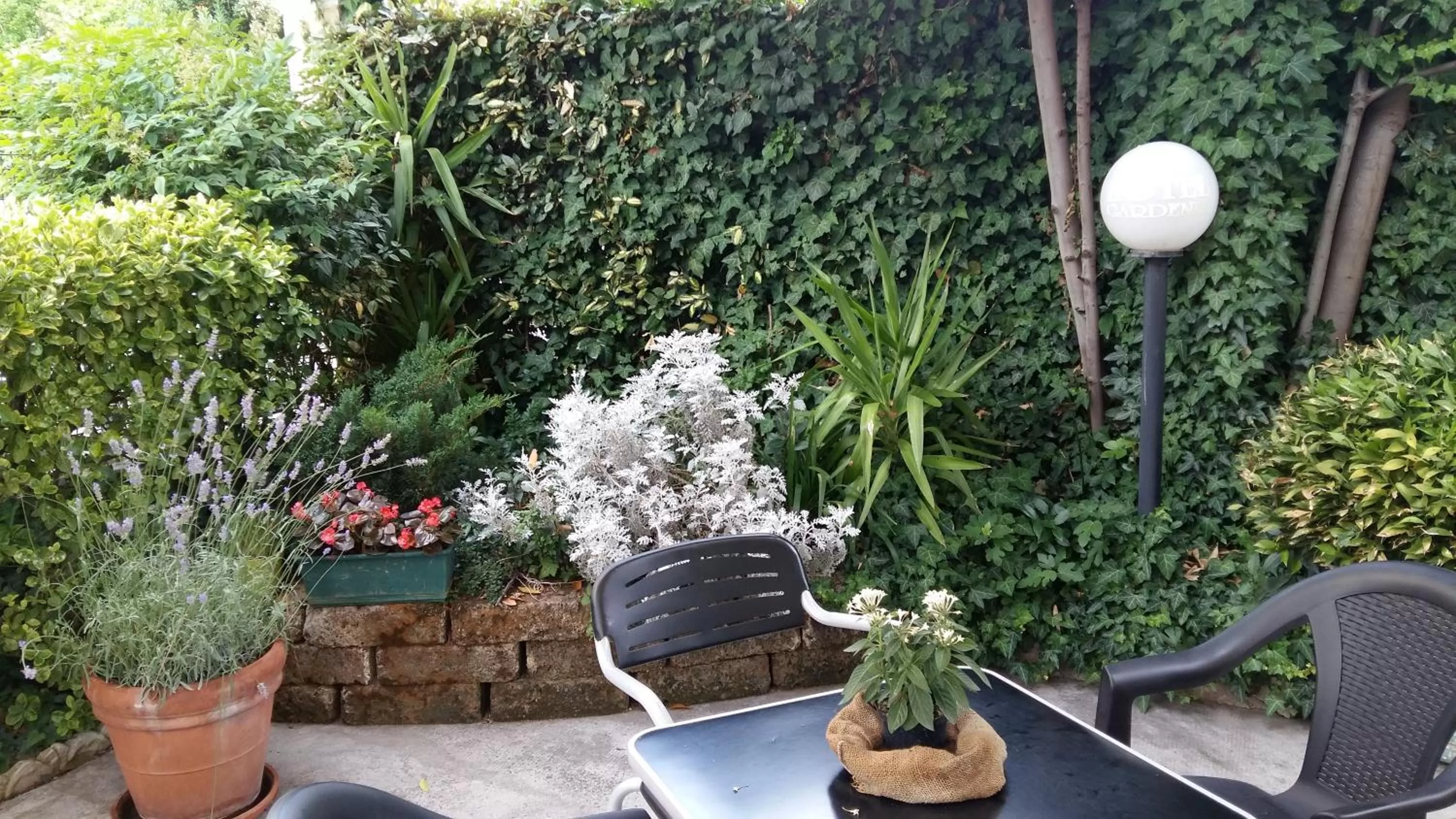 Garden in Hotel Gardenia