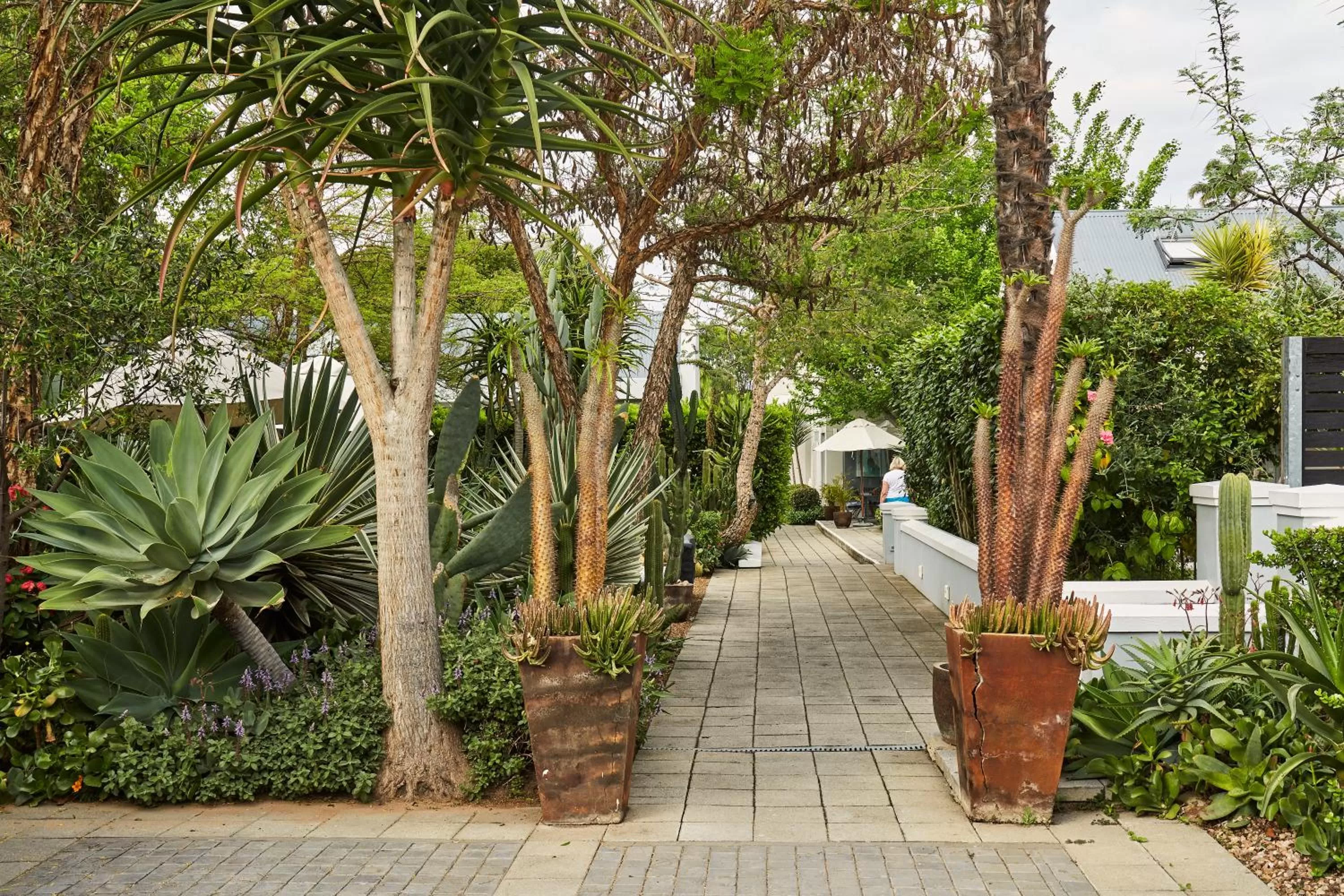 Garden in The Robertson Small Hotel and Spa by The Living Journey Collection