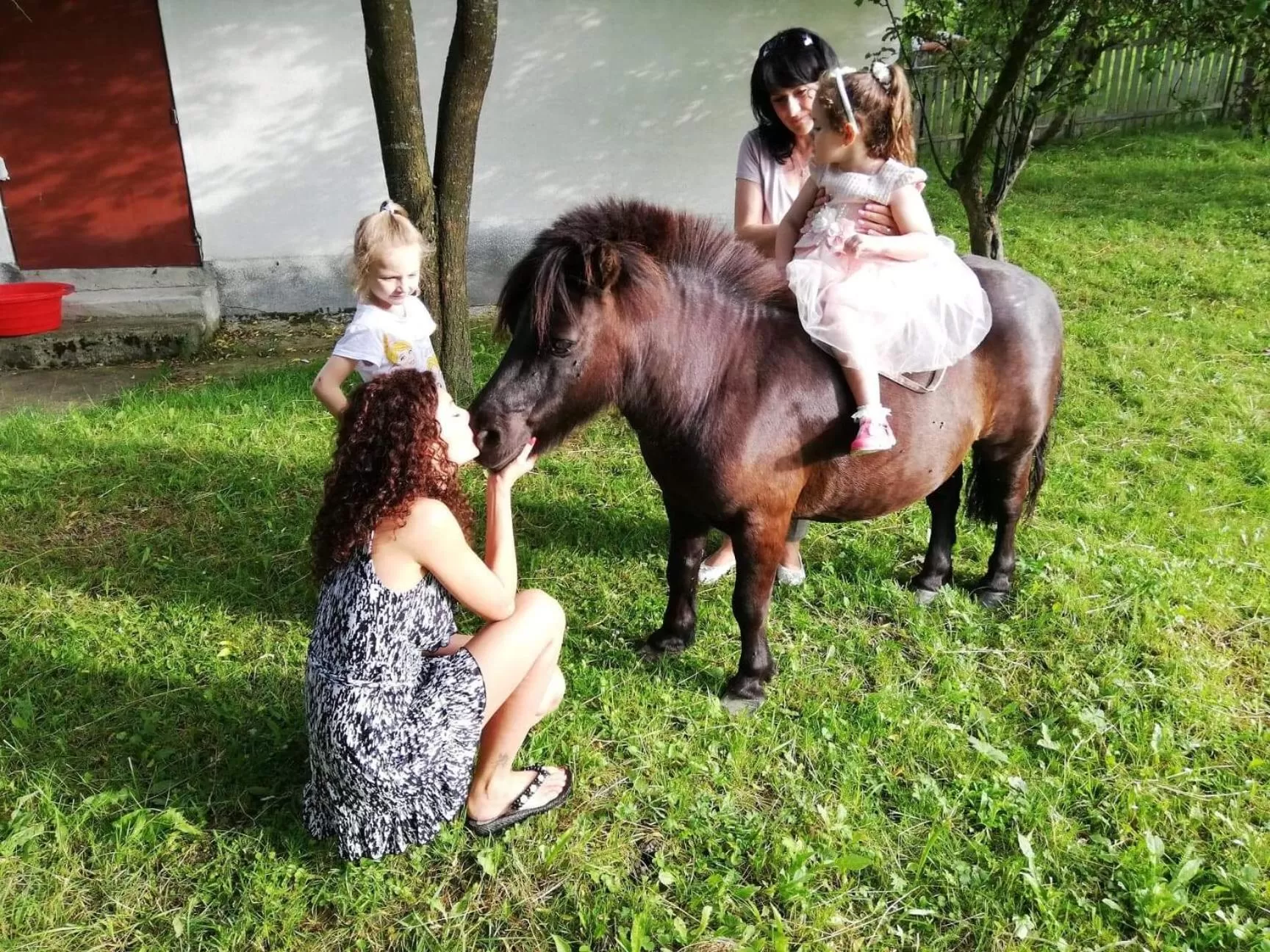 Day in Pensiunea SilvAnka