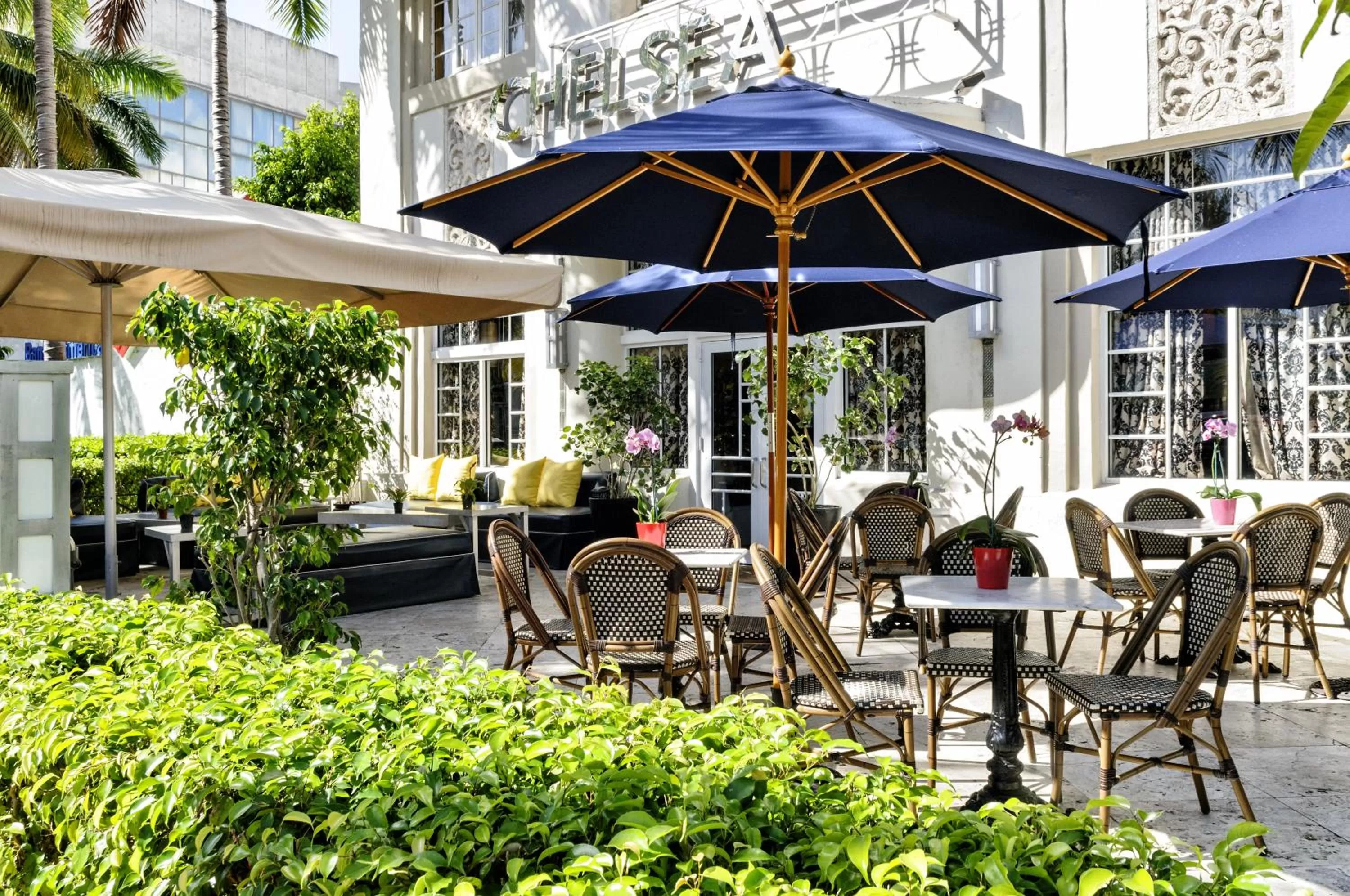 Patio in Hotel Chelsea