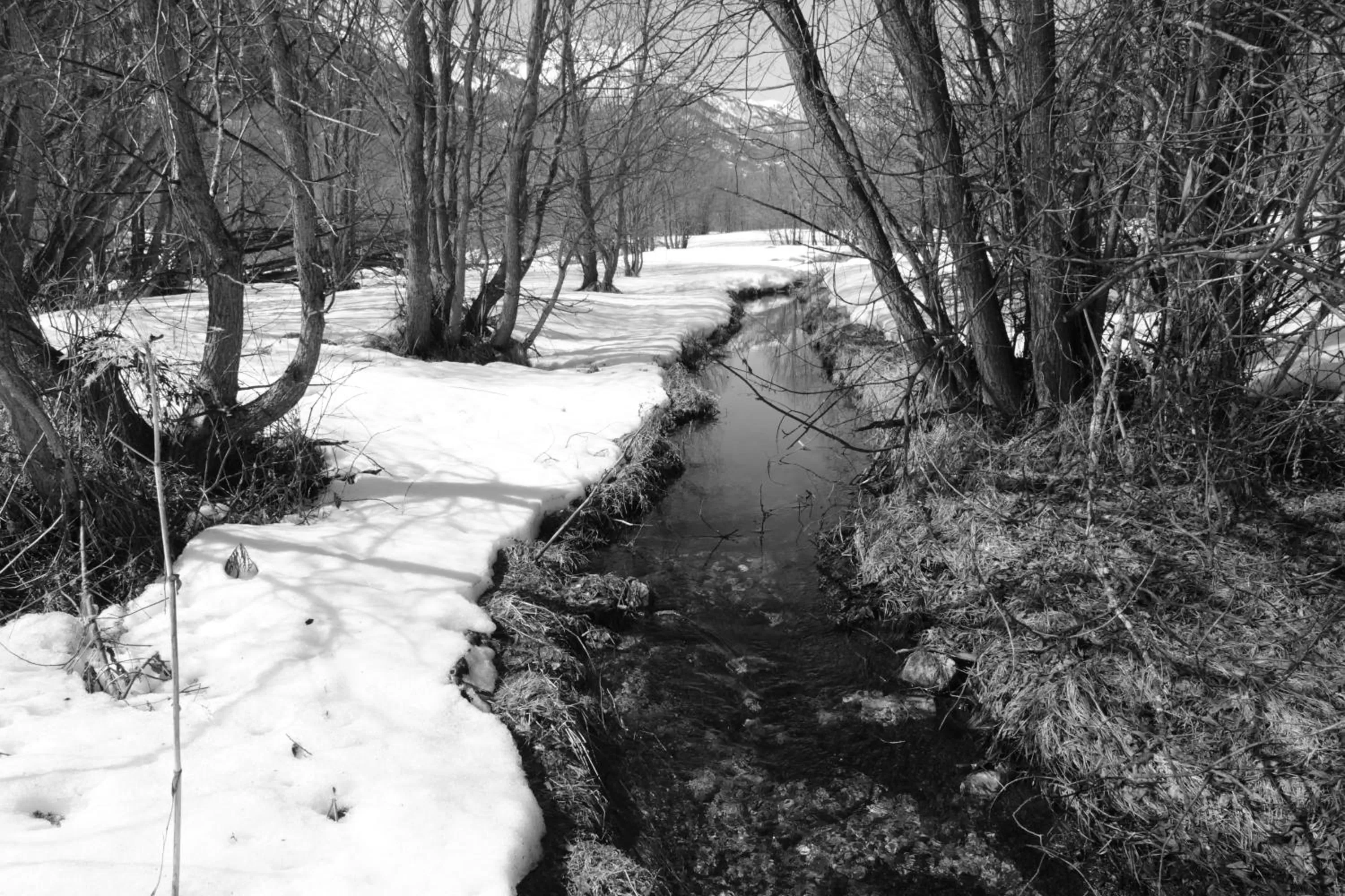 Area and facilities in Auberge de la Paix
