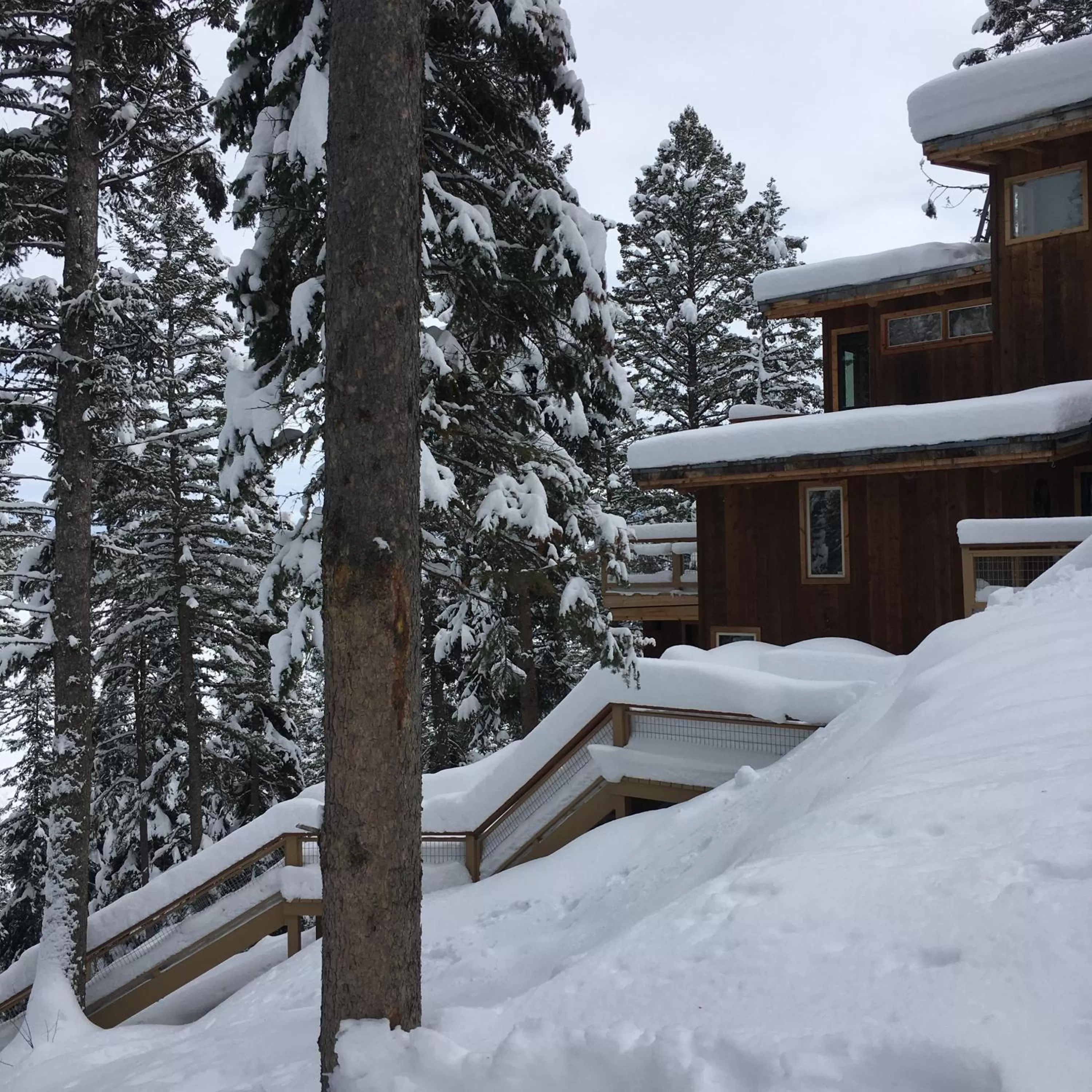 Property building in Jackson Hole Hideout