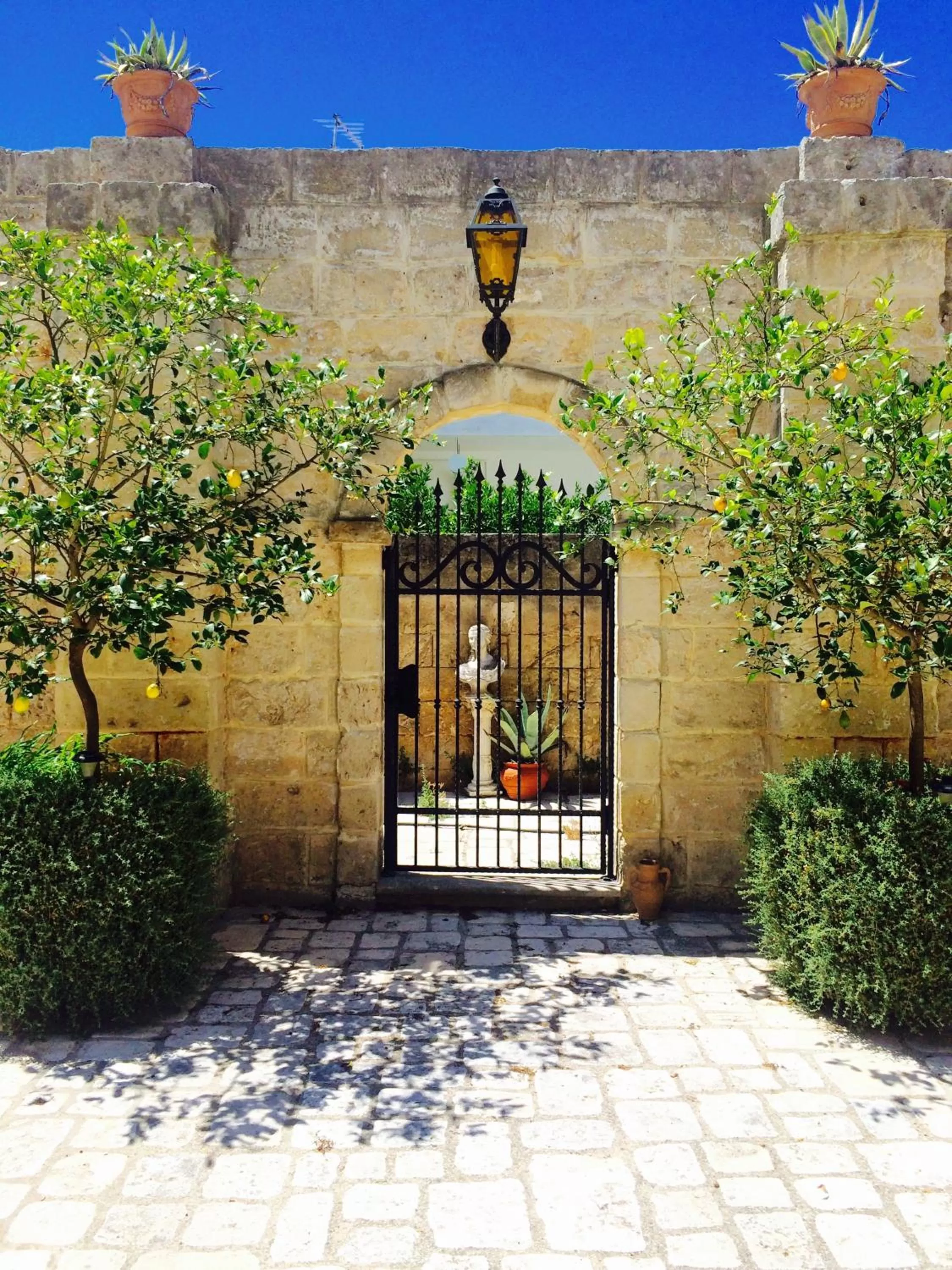 Garden in Castello Conti Filo