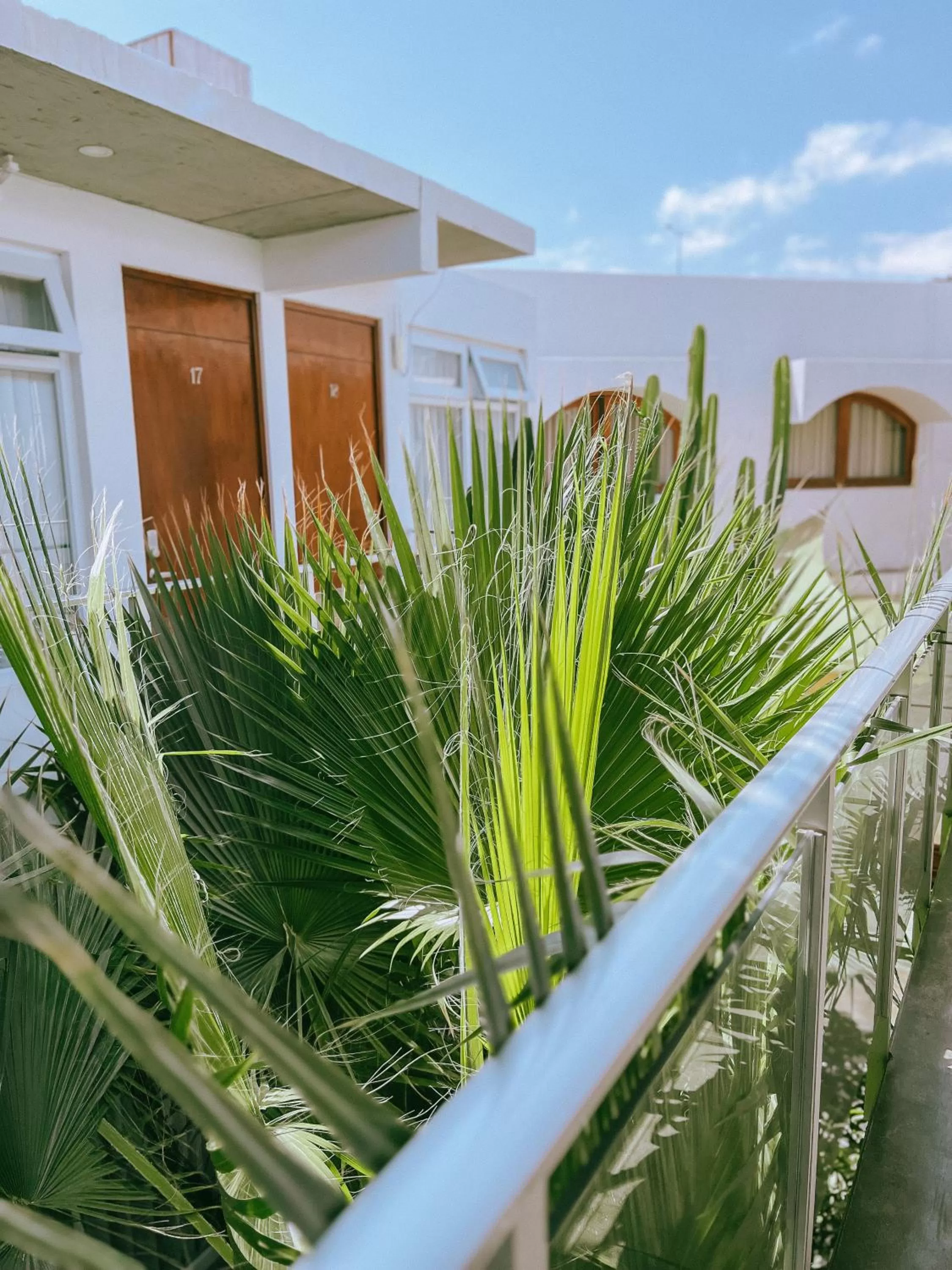 Property building in Hotel Puerto Chinchorro