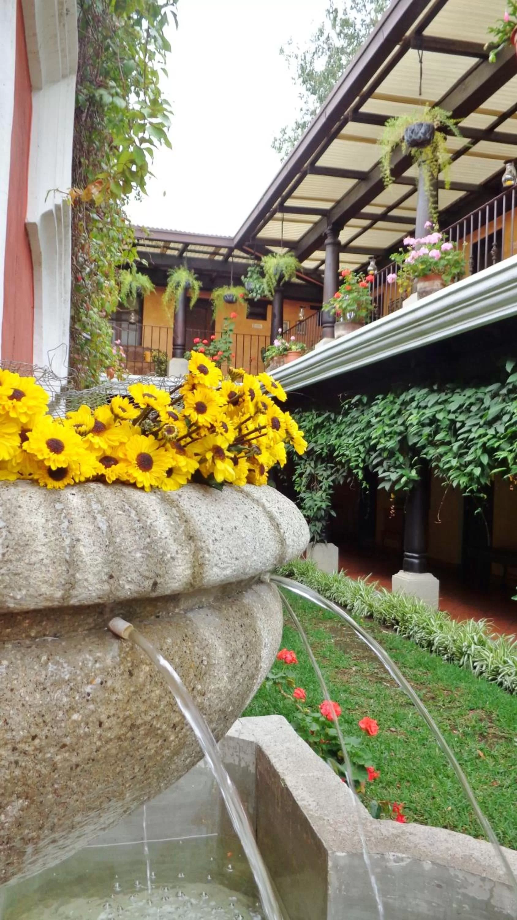 Garden in Hotel Meson del Valle by AHS