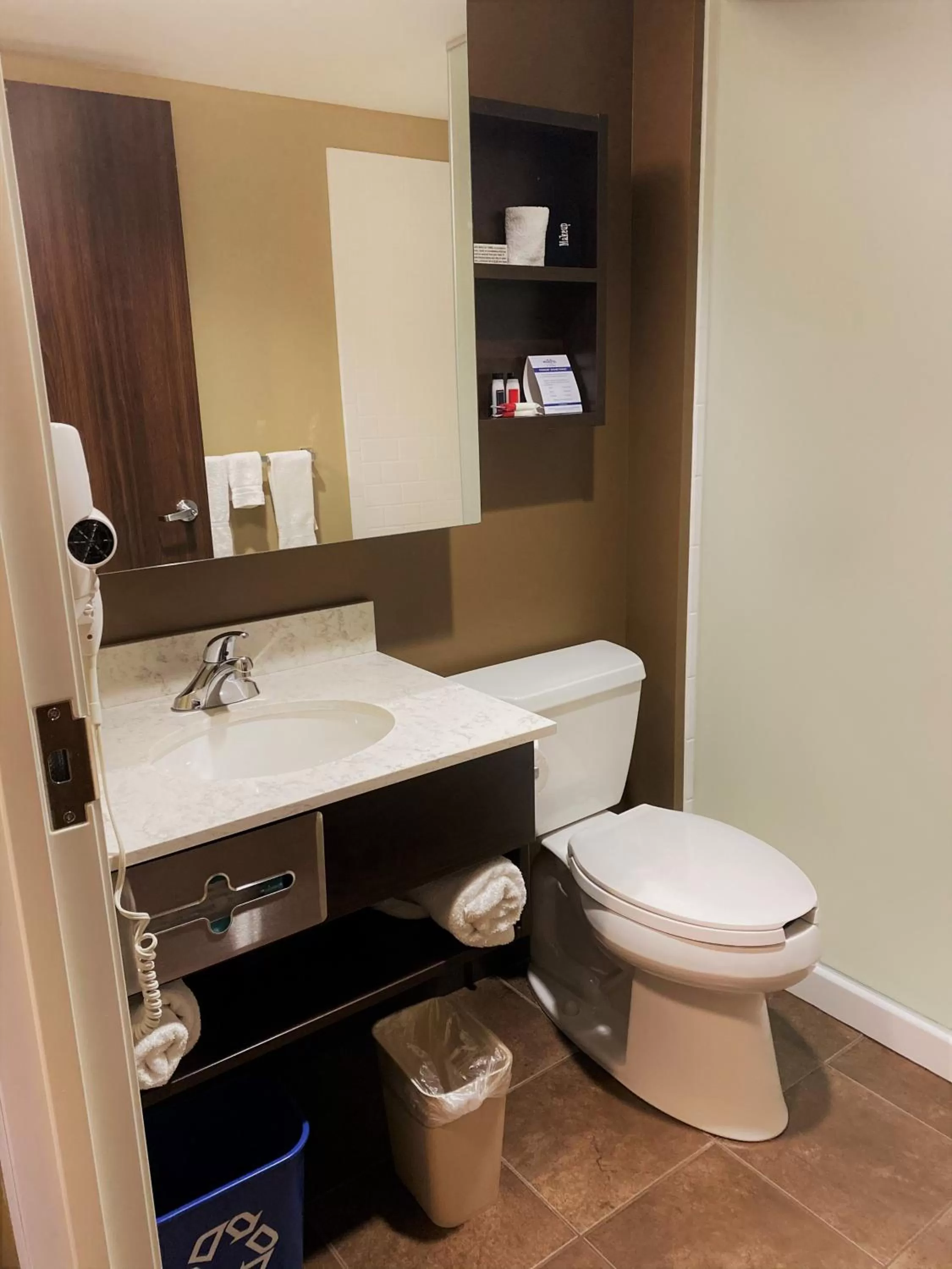 Bathroom in Microtel Inn & Suites by Wyndham - Timmins