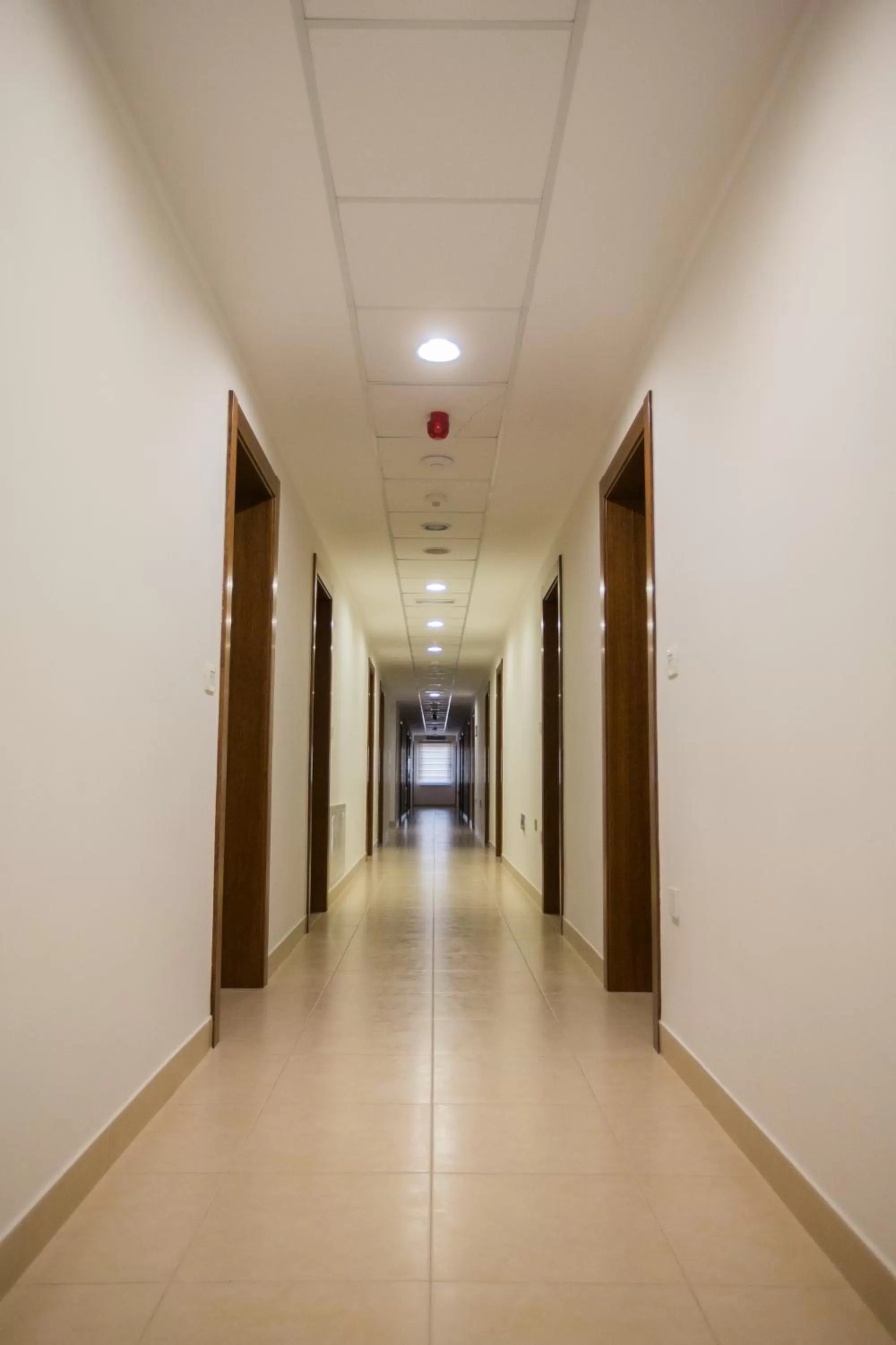 Property building in Hotel Luna