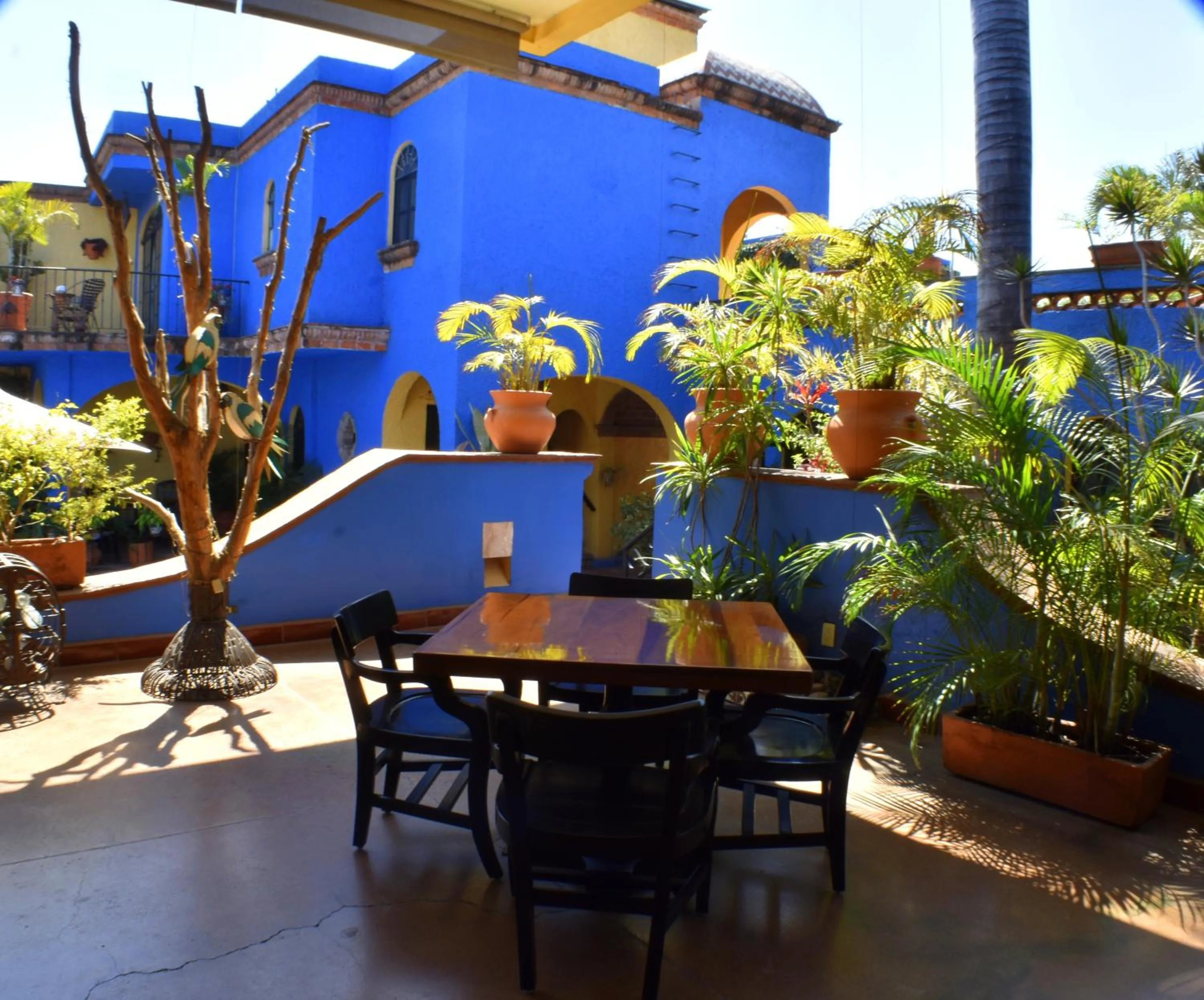 Garden view in La Villa del Ensueno Boutique Hotel