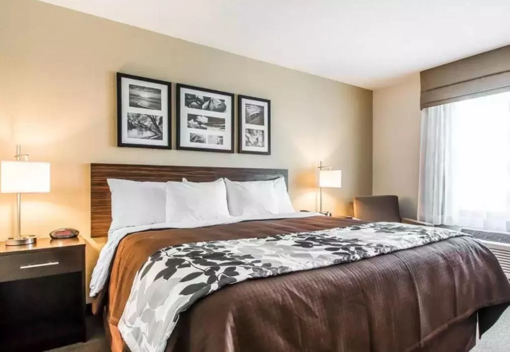 Bed in Sleep Inn & Suites Hannibal West