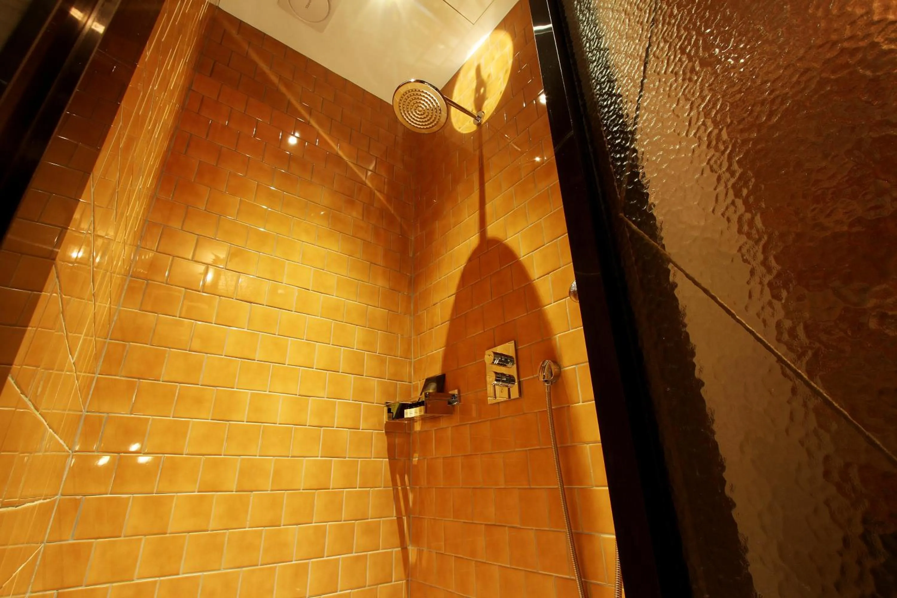 Shower in Boutique Hotel Loft
