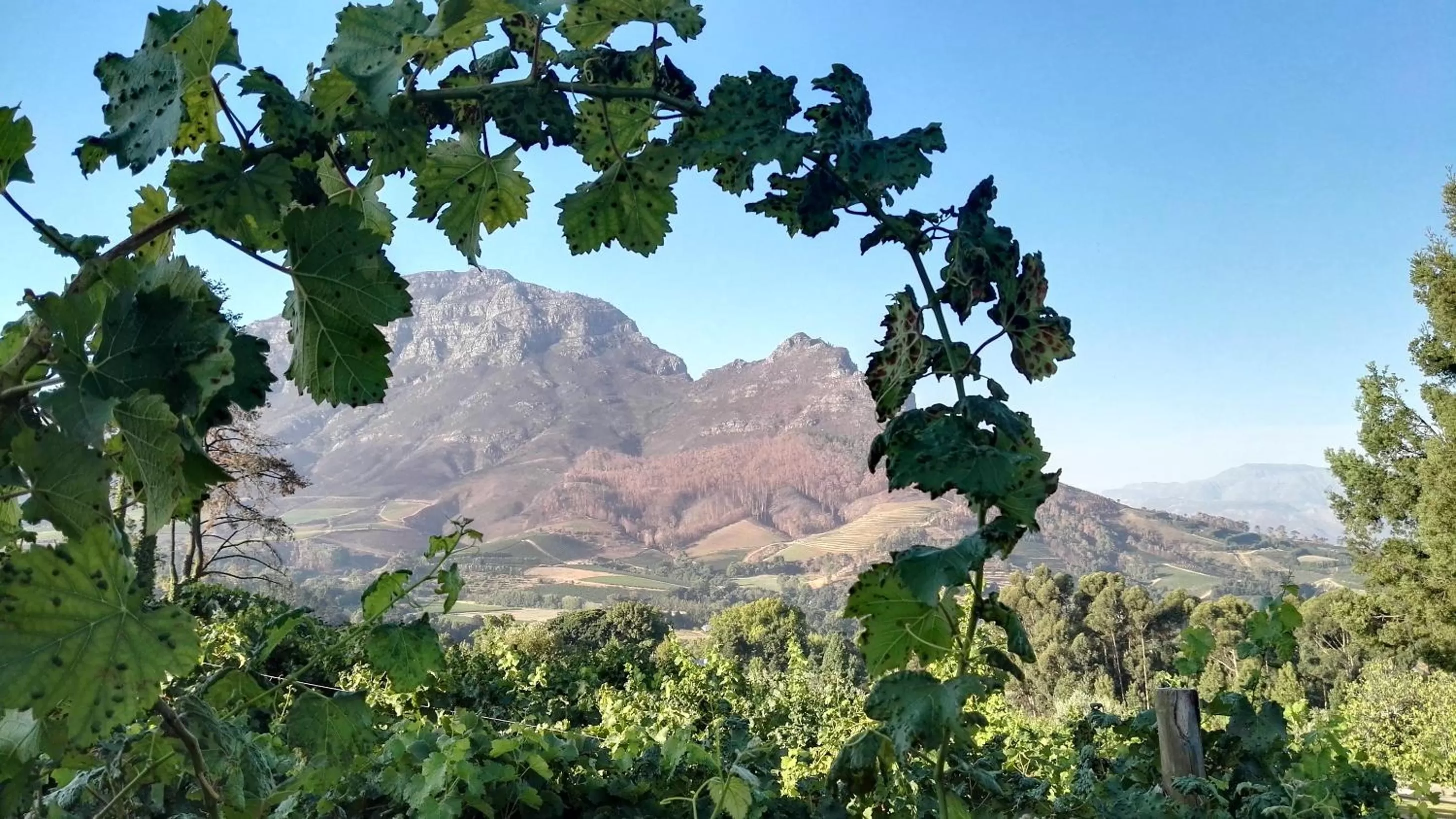 Other in Clouds Estate