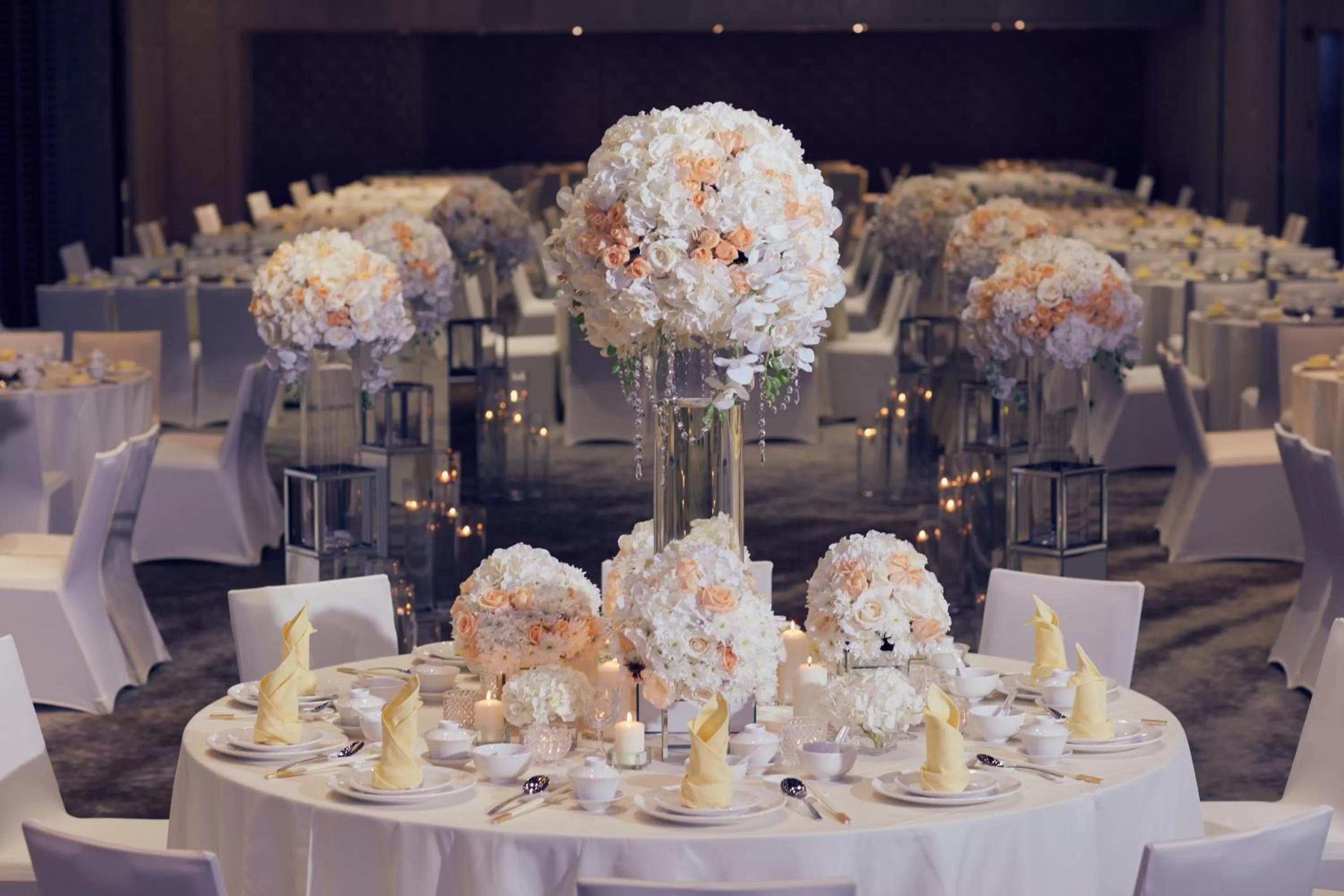 Banquet/Function facilities in Grand Ion Delemen Hotel