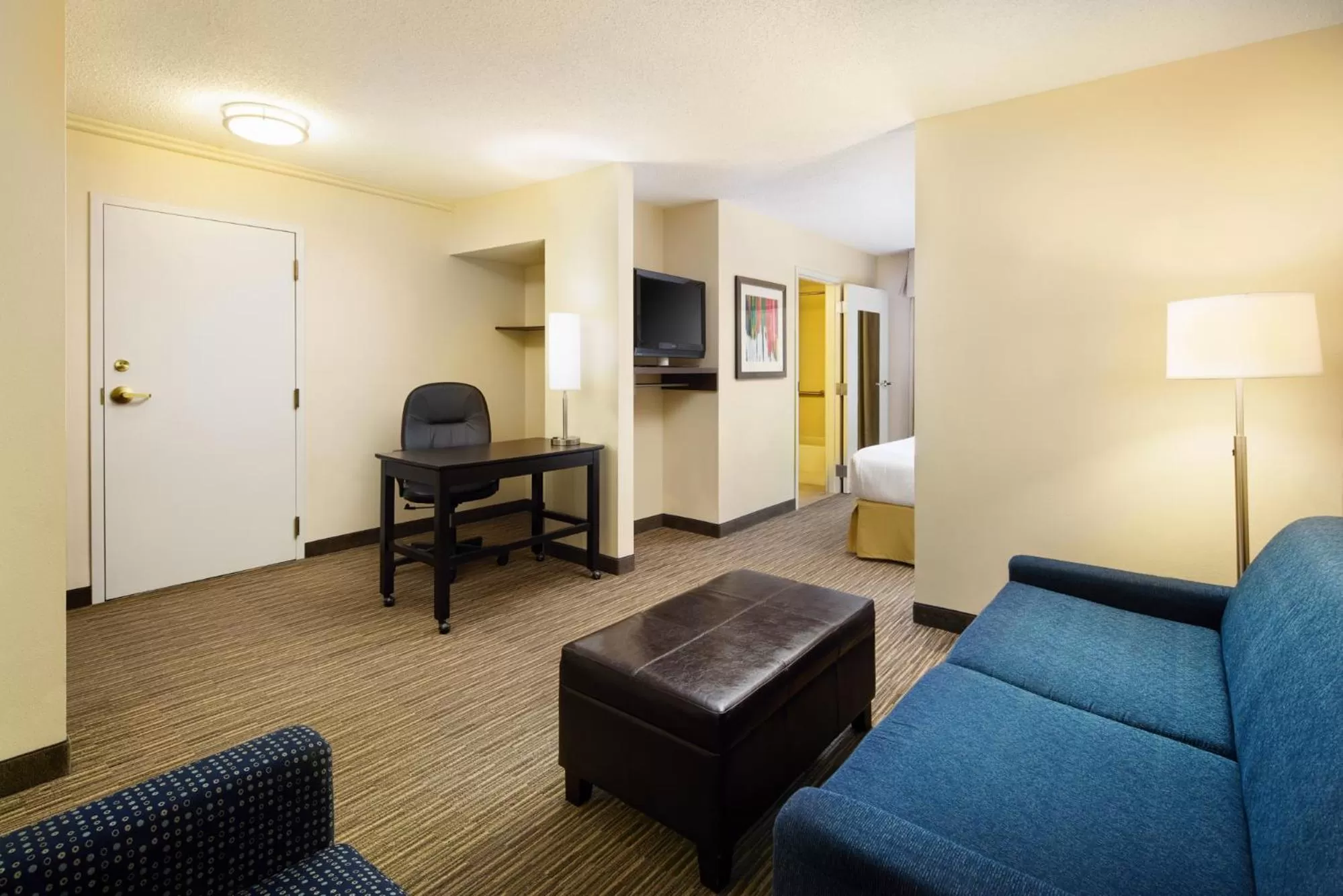 Communal lounge/ TV room in Holiday Inn Express & Suites Alpharetta by IHG