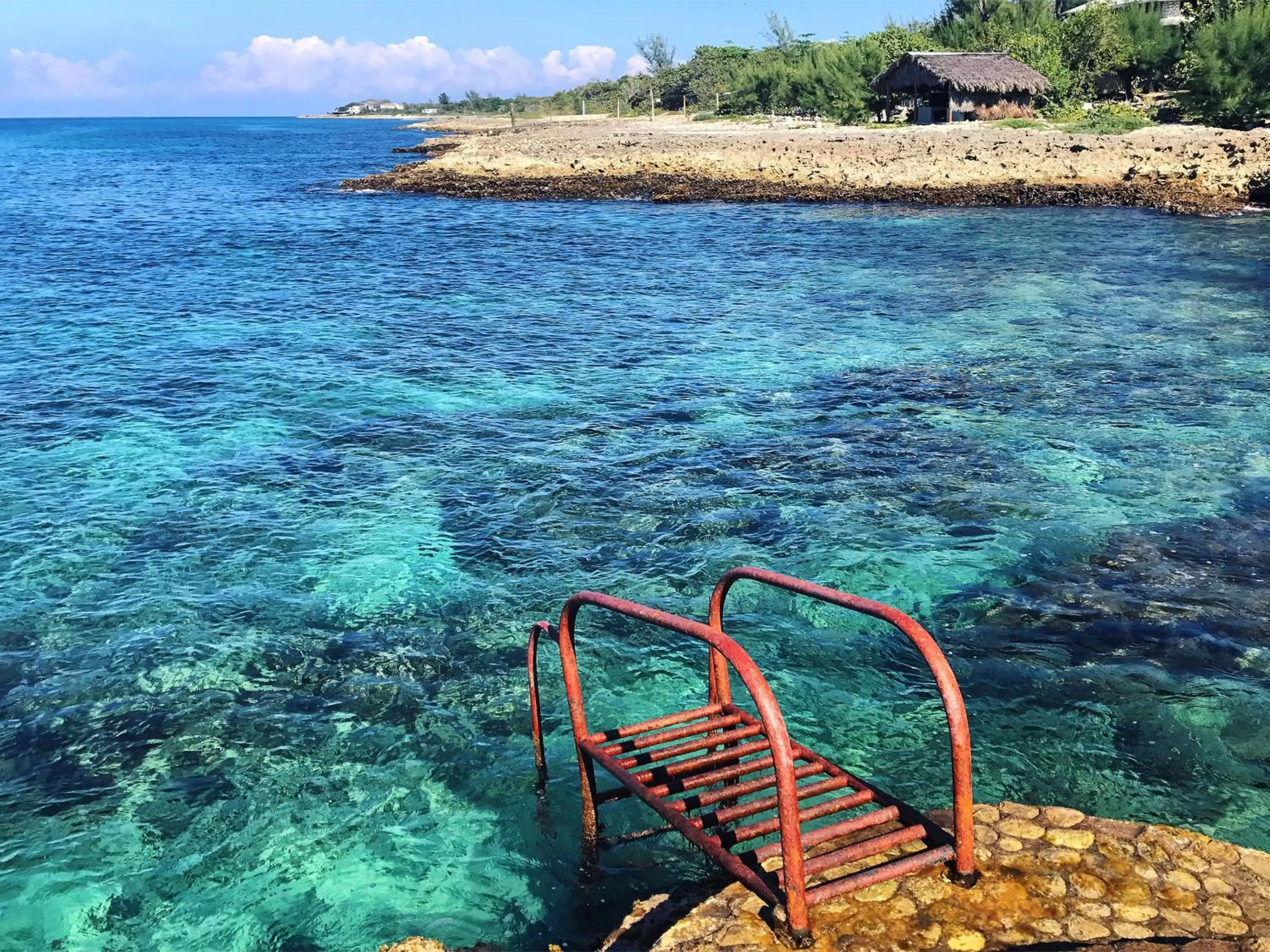 Day in The Westender Inn