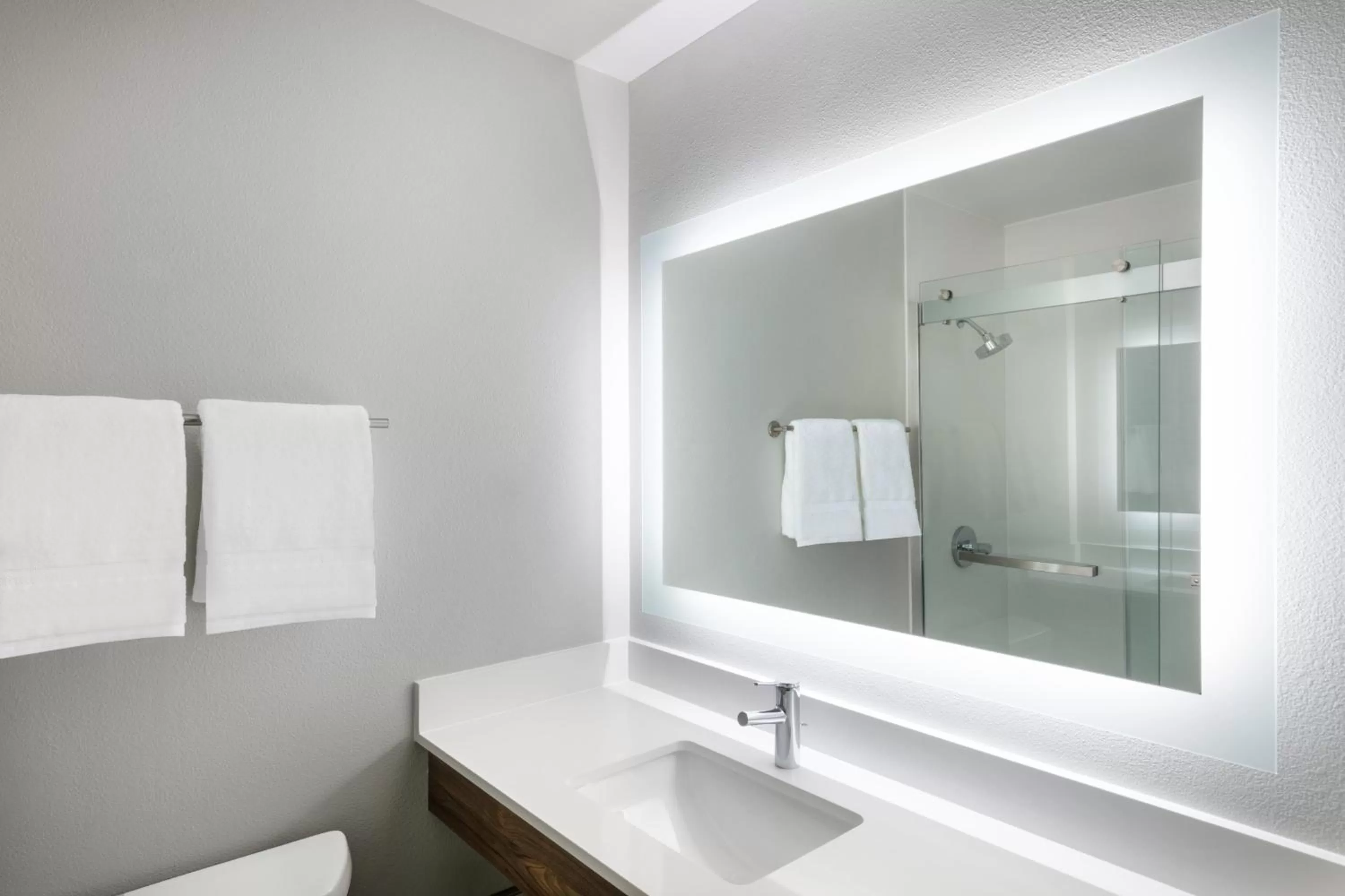 Bathroom in Holiday Inn Express & Suites Colorado Springs-Airport by IHG