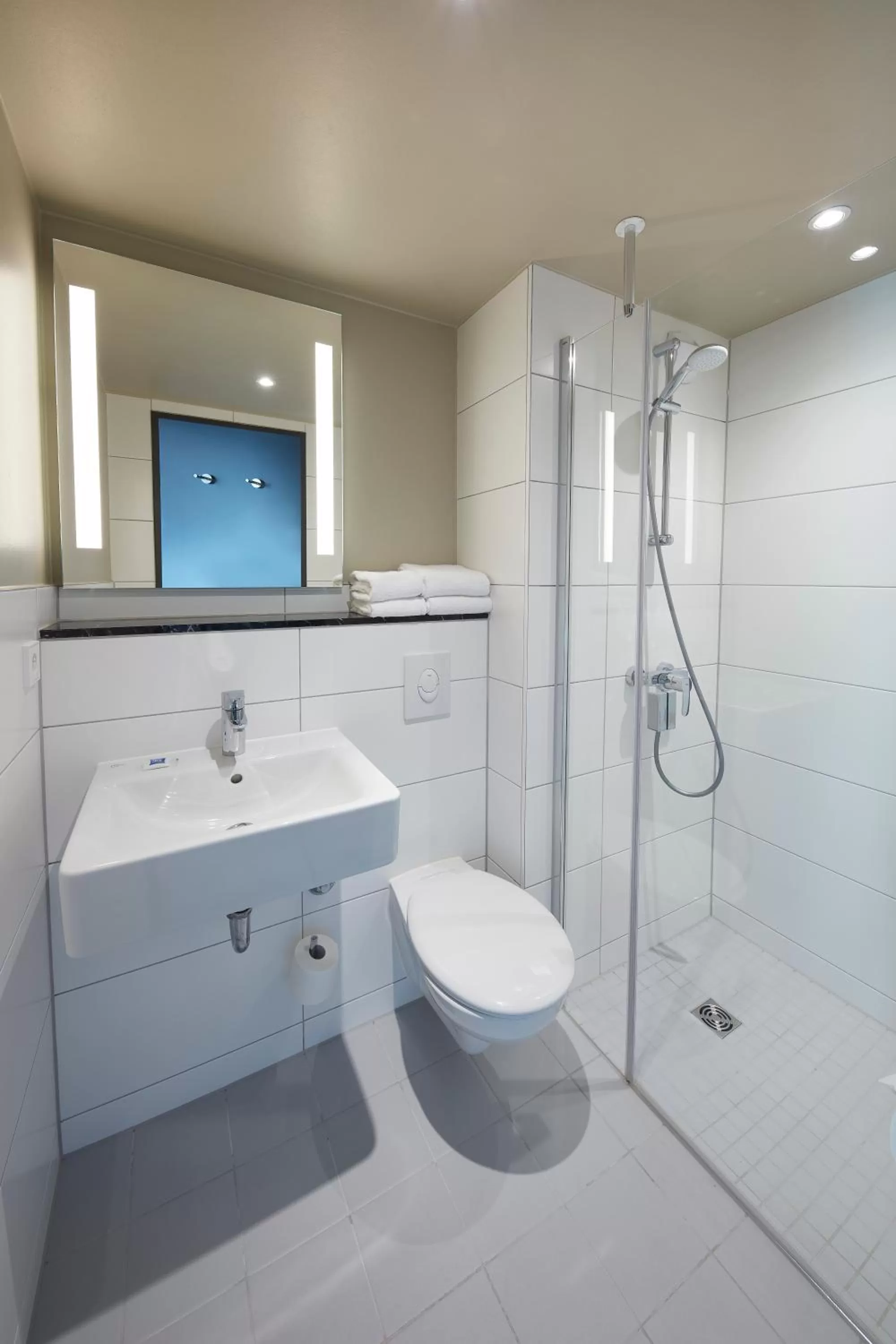 Bathroom in ibis budget Bayreuth