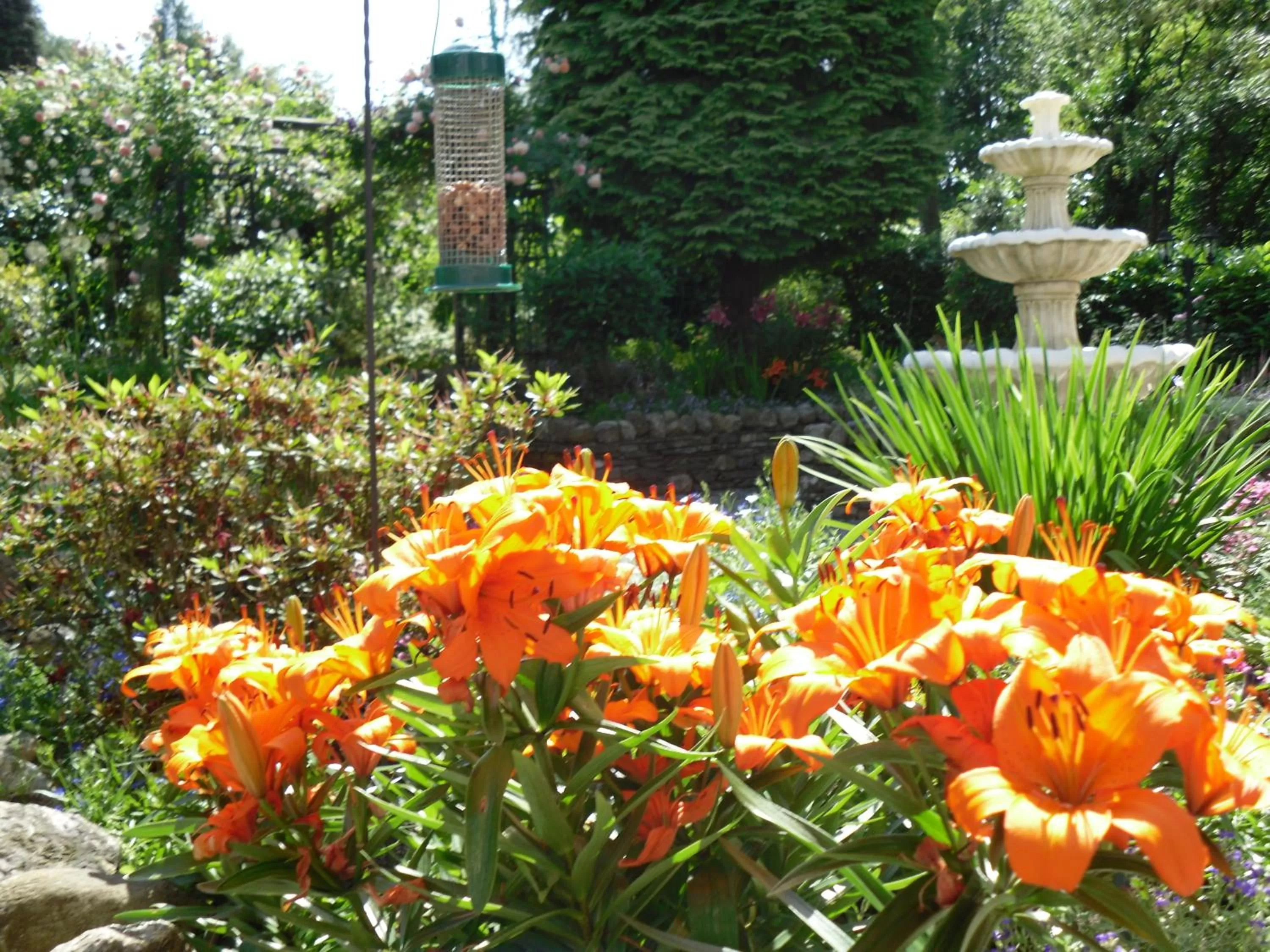 Garden in Storrs Gate House